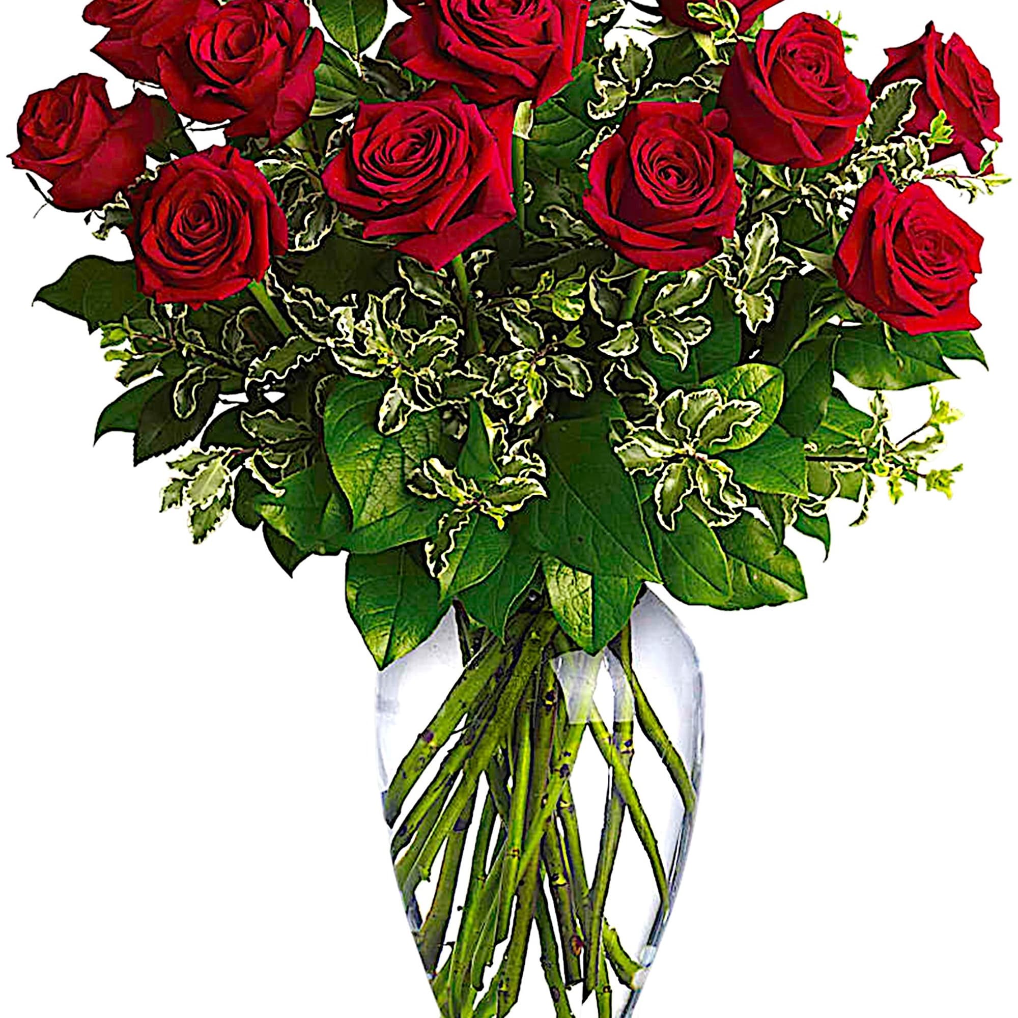 Red roses arranged in a clear glass vase with variegated greenery