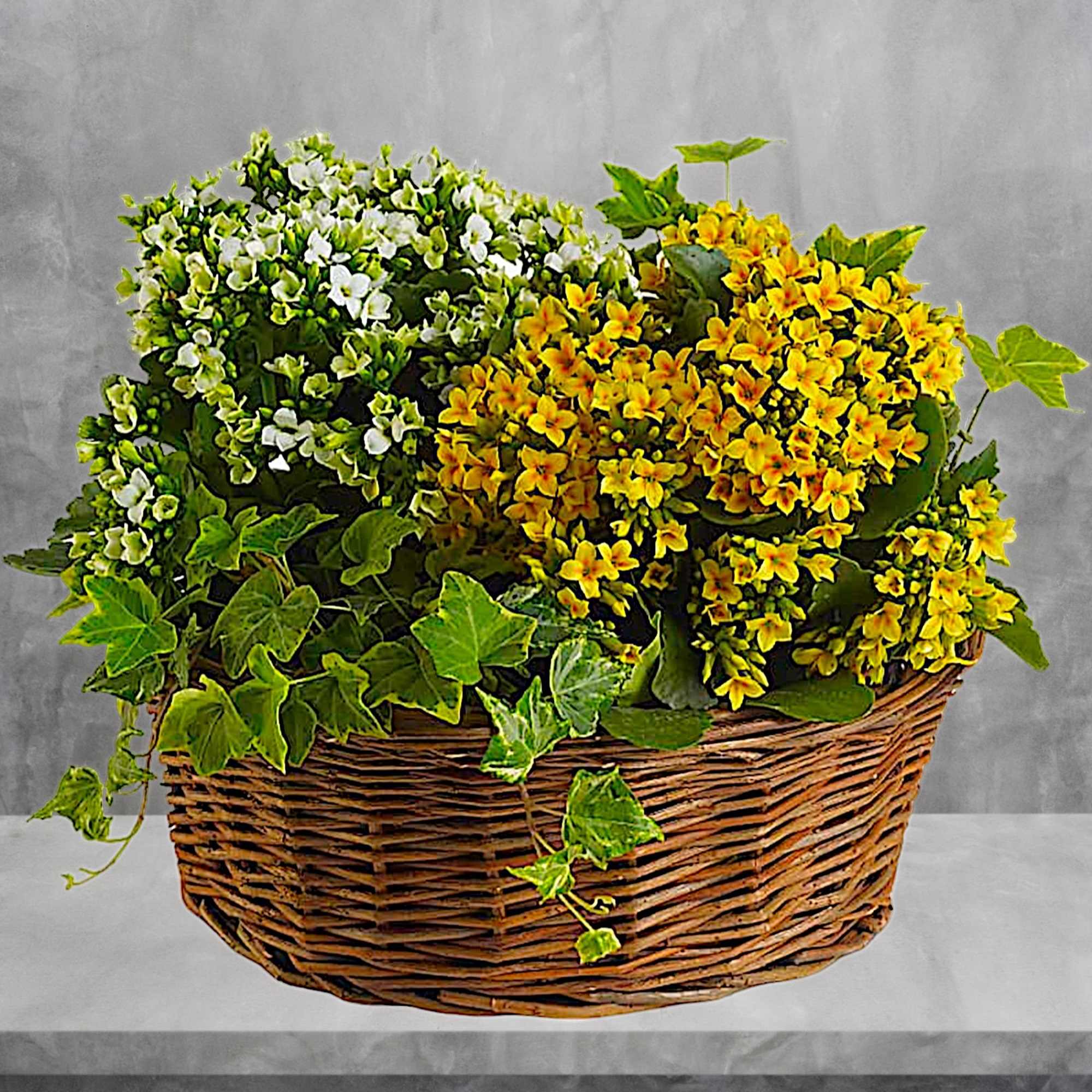 Basket of yellow and white flowers with ivy
