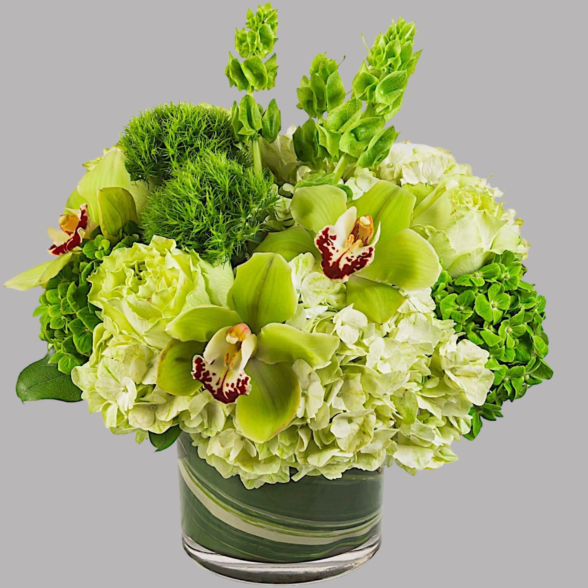 Keep things fresh and lucky with this all-green arrangement. Send somebody a, photo 4 of 6