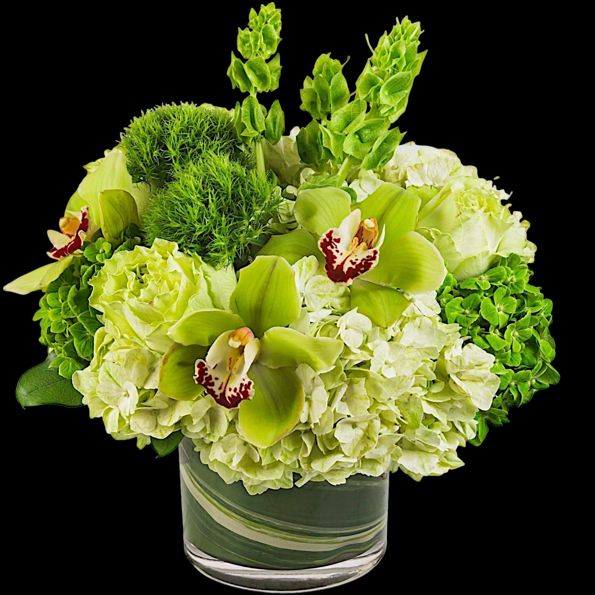 Keep things fresh and lucky with this all-green arrangement. Send somebody a, photo 5 of 6