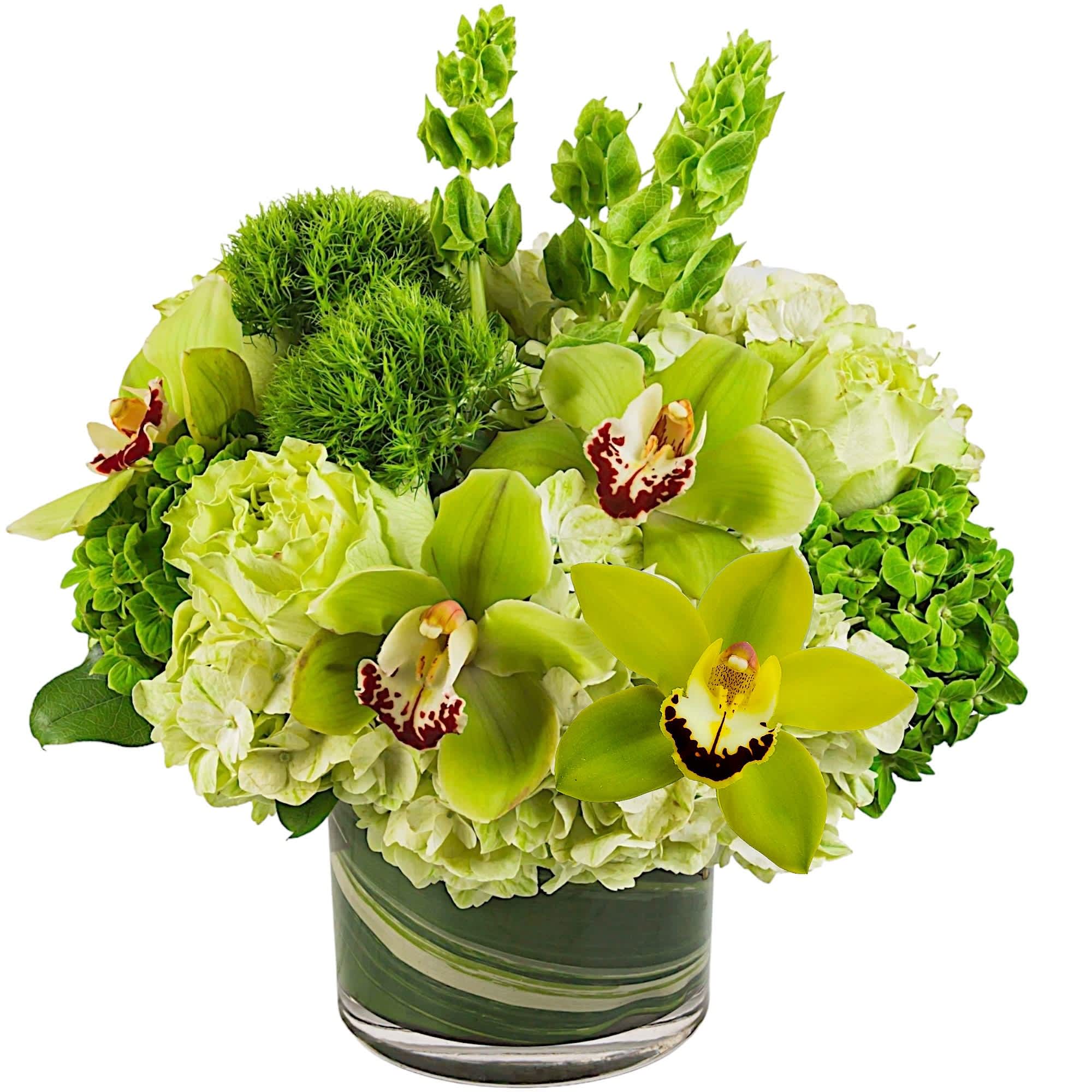 Keep things fresh and lucky with this all-green arrangement. Send somebody a