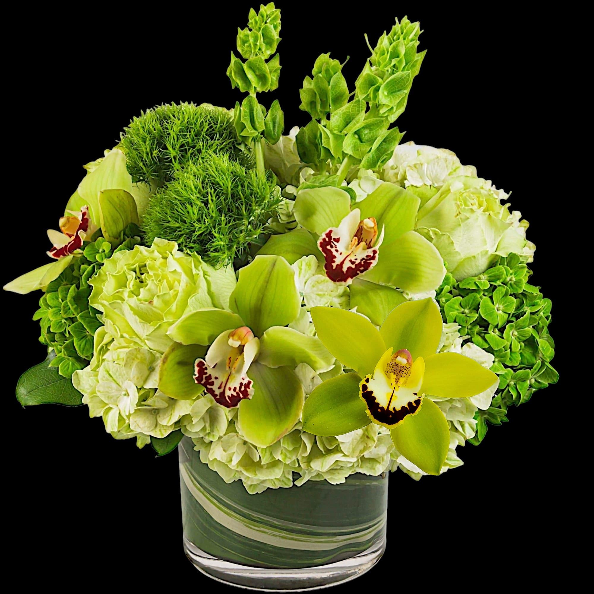 Keep things fresh and lucky with this all-green arrangement. Send somebody a, photo 4 of 5