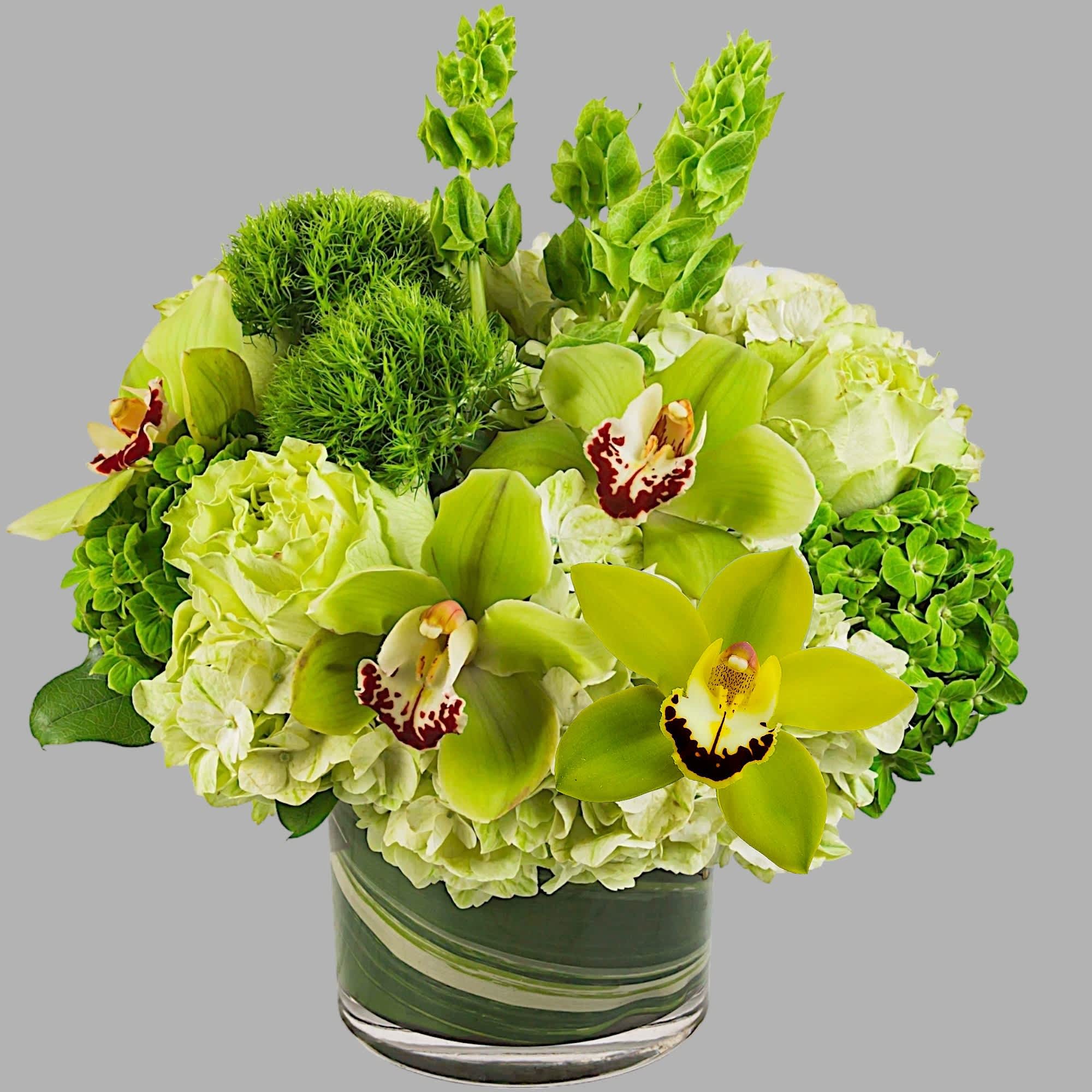 Keep things fresh and lucky with this all-green arrangement. Send somebody a, photo 5 of 5