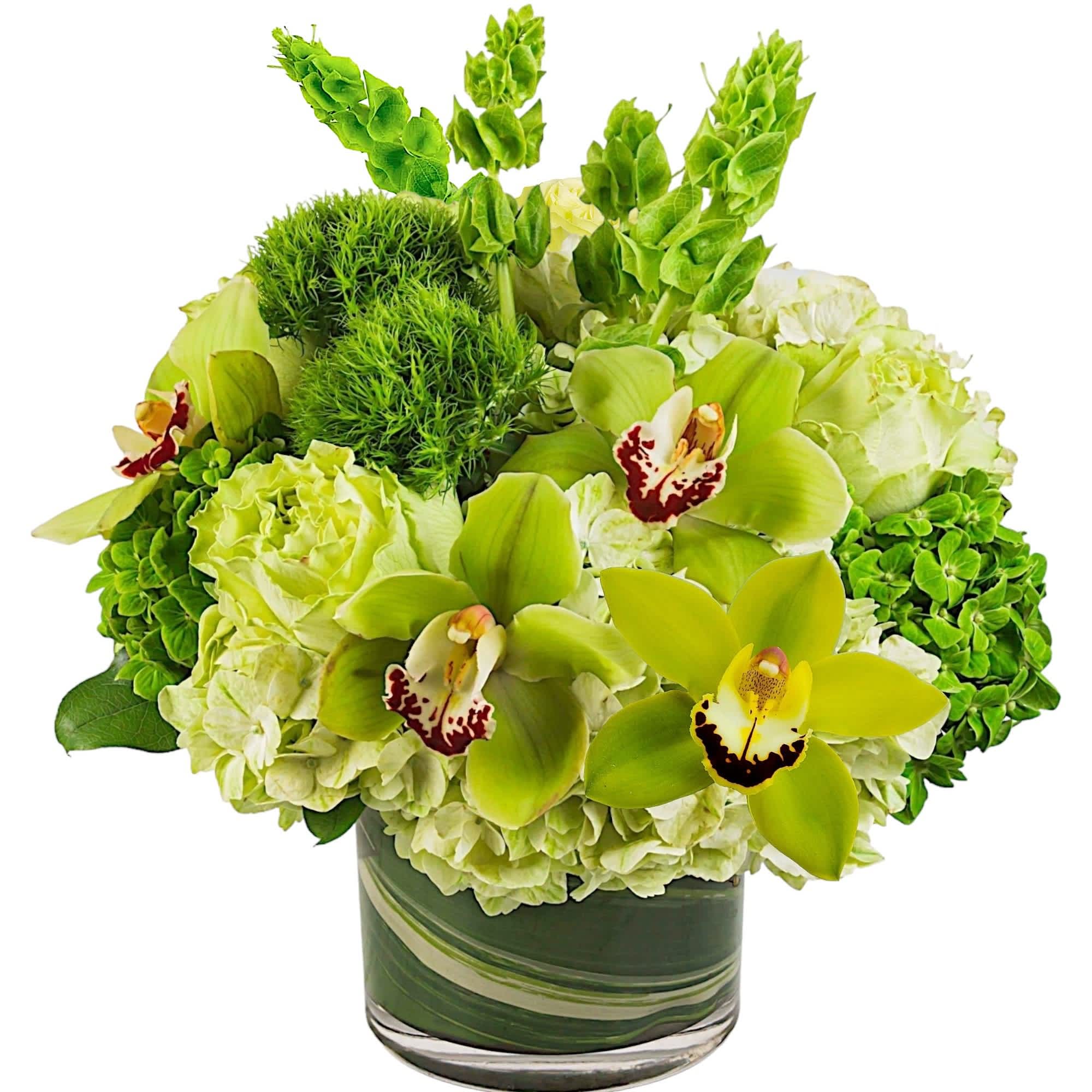 Keep things fresh and lucky with this all-green arrangement. Send somebody a
