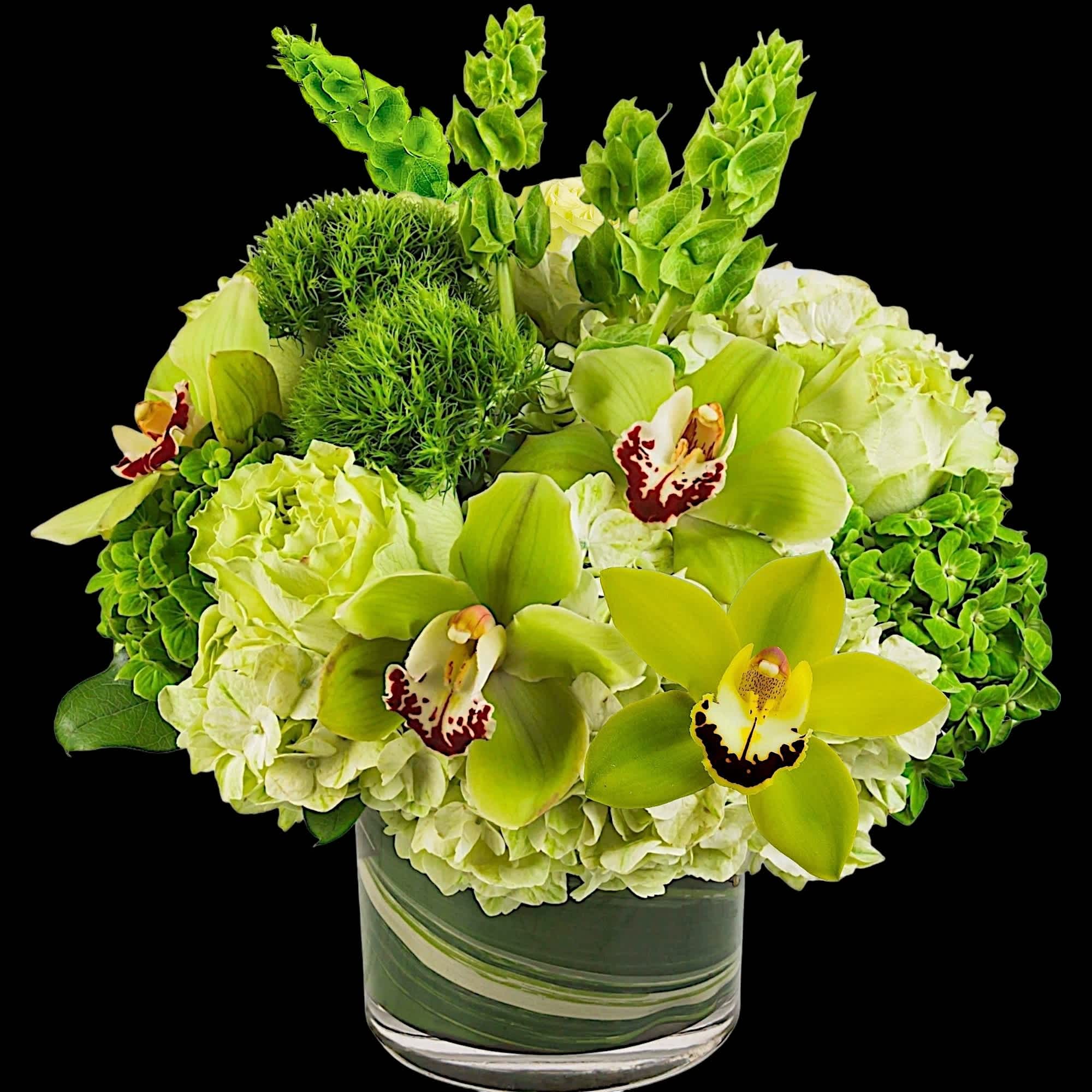 Keep things fresh and lucky with this all-green arrangement. Send somebody a, photo 5 of 5