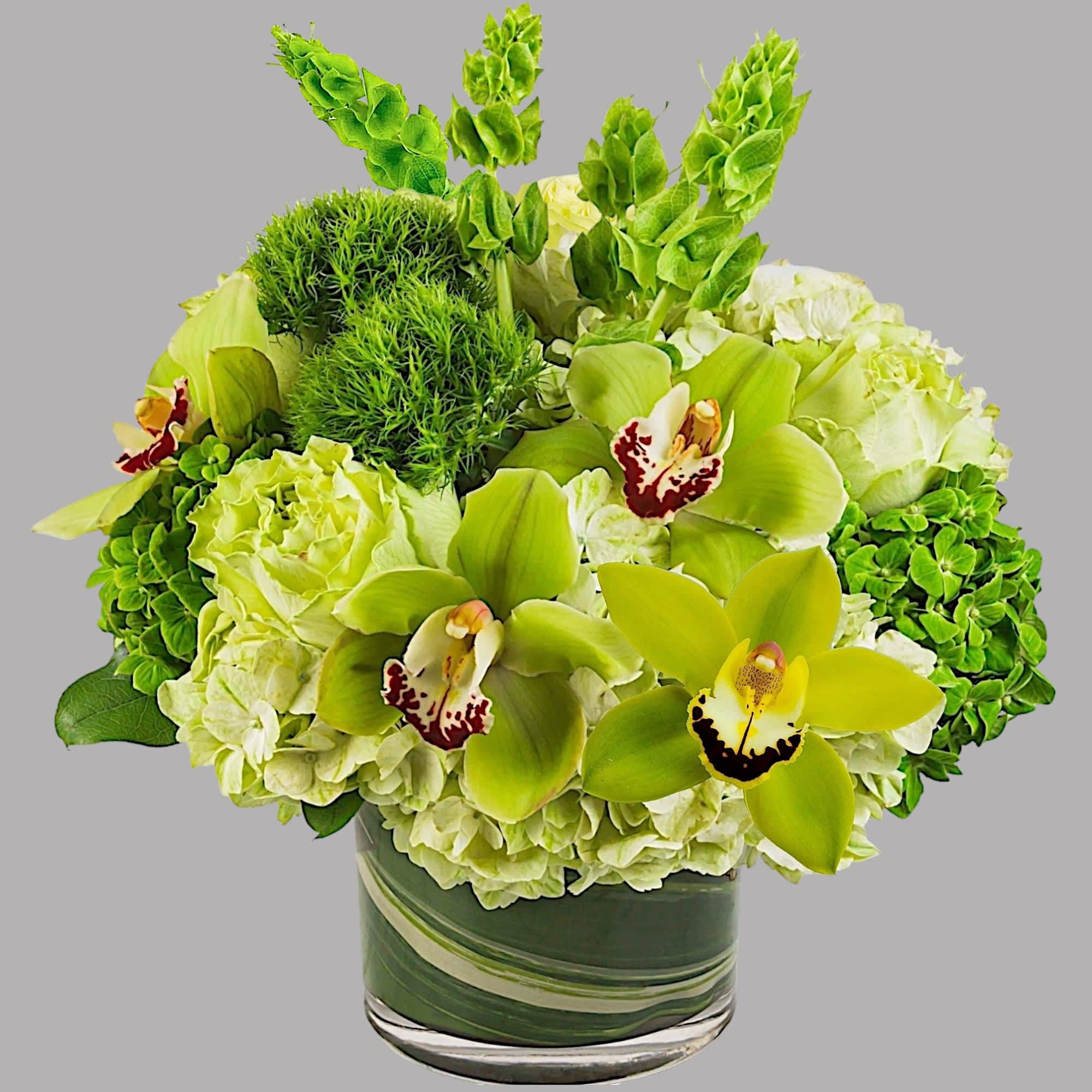 Keep things fresh and lucky with this all-green arrangement. Send somebody a, photo 4 of 5