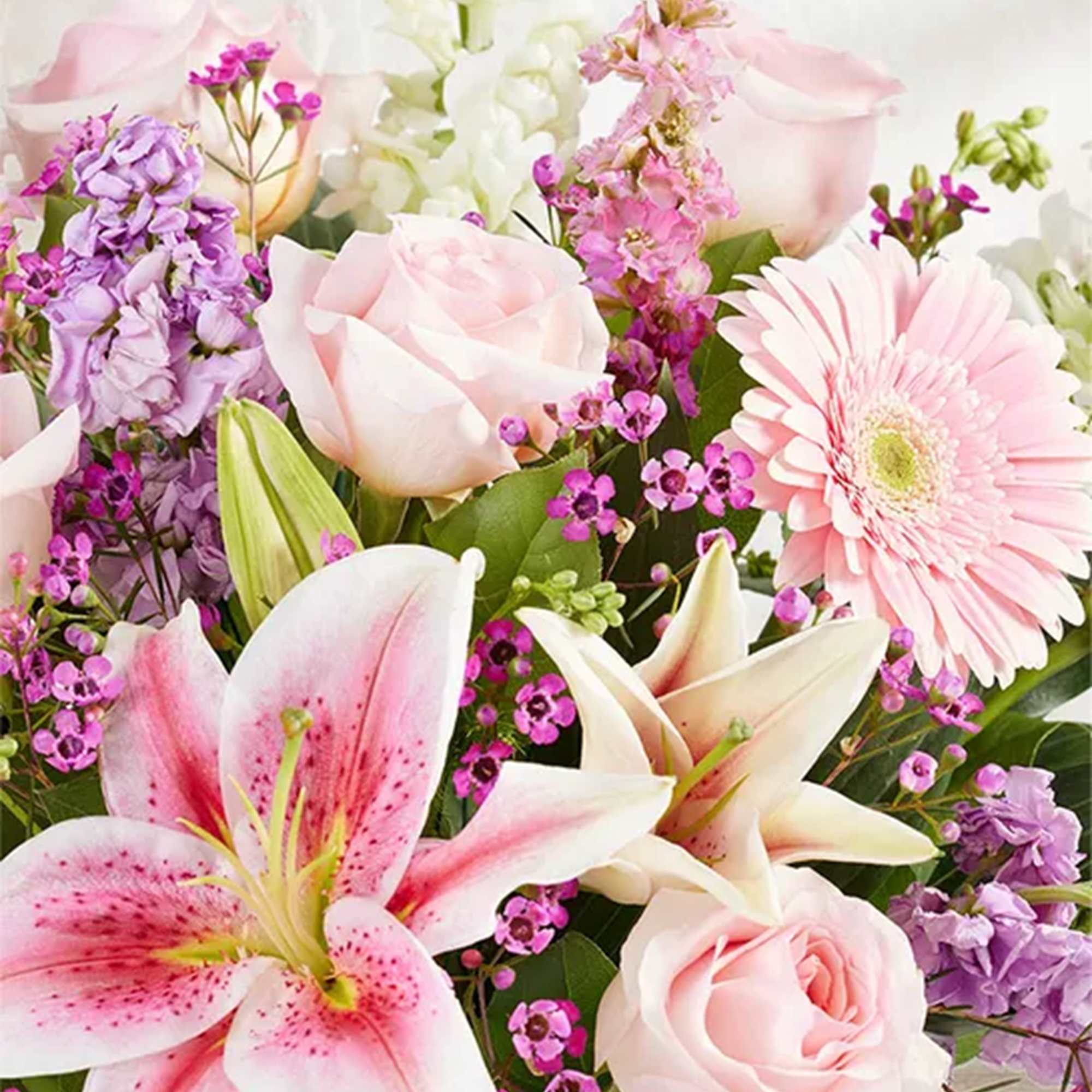 Bouquet of pink roses, lilies, and purple flowers