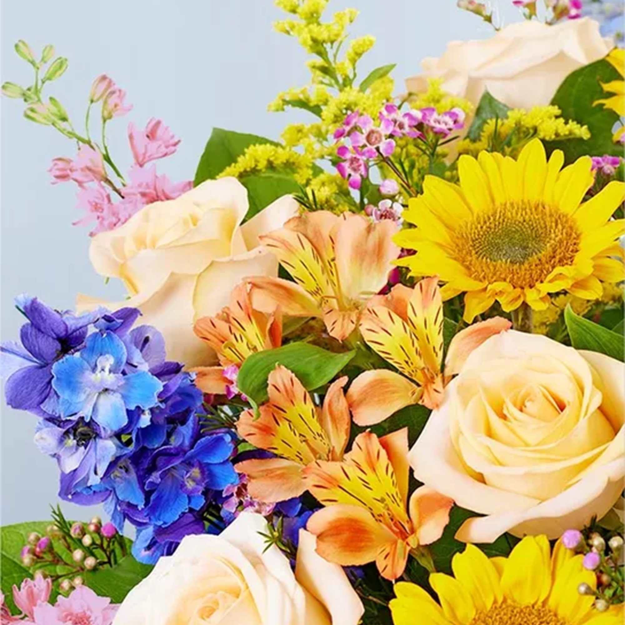 Mixed bouquet with cream roses, sunflowers, and blue-purple blooms