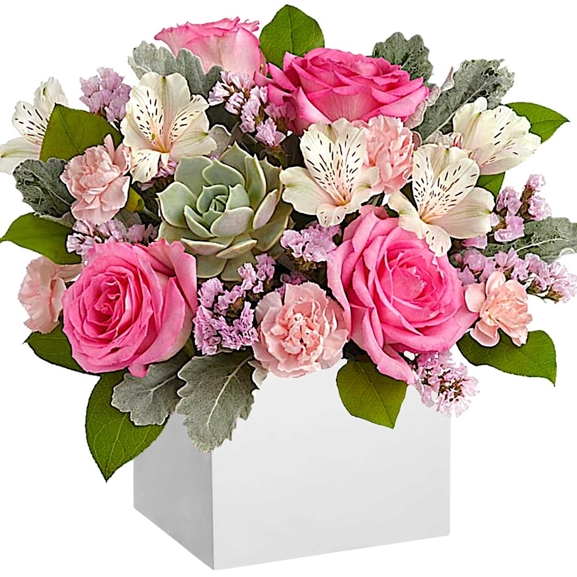 Pink roses and pale alstroemeria in a white box with a succulent accent