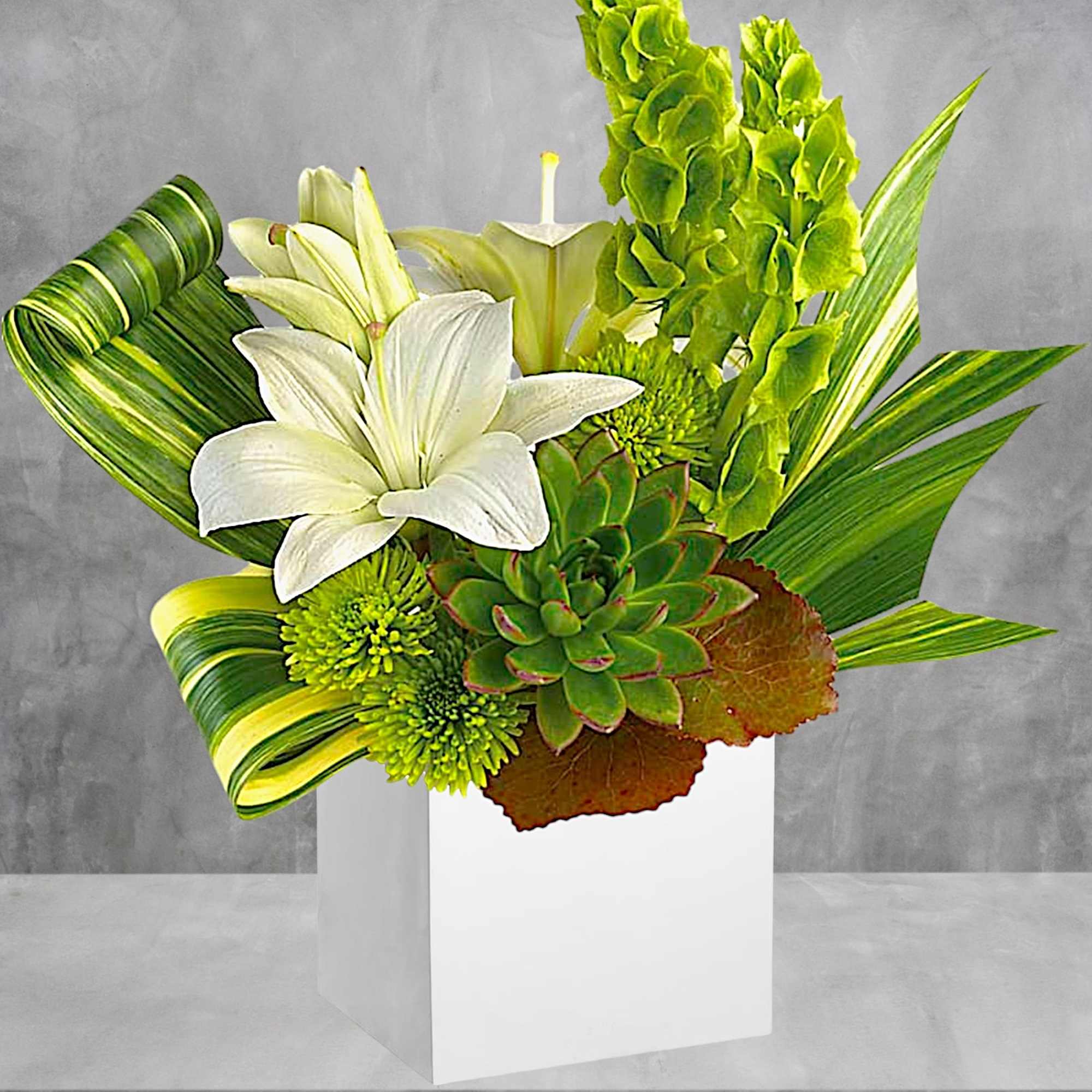 White lilies and green blooms arranged in a white box
