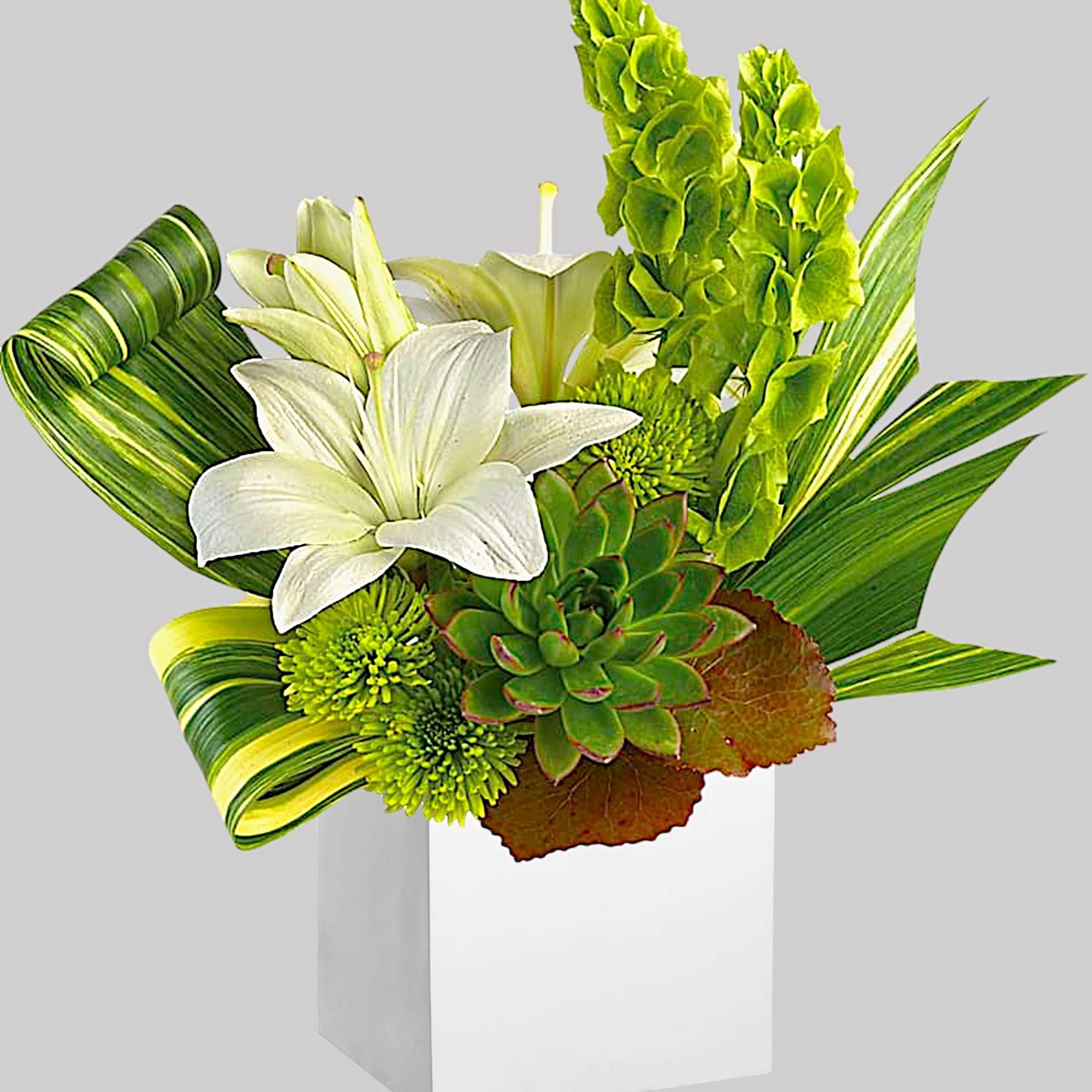 White lilies and green succulents in a white box vase