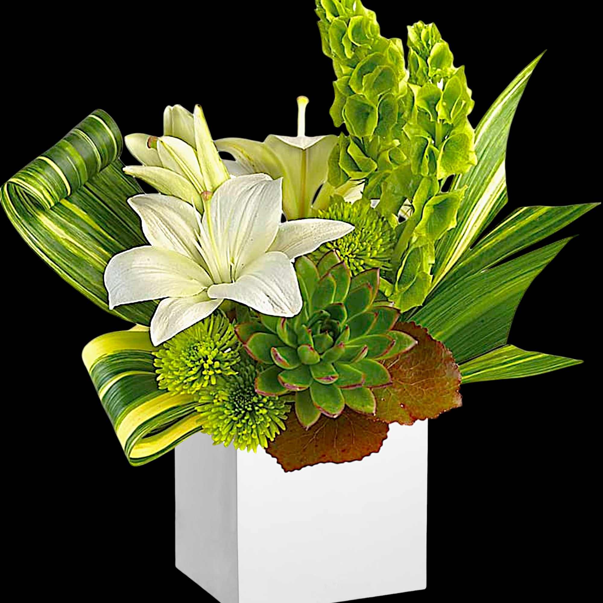 White lilies and green succulents in a white square vase