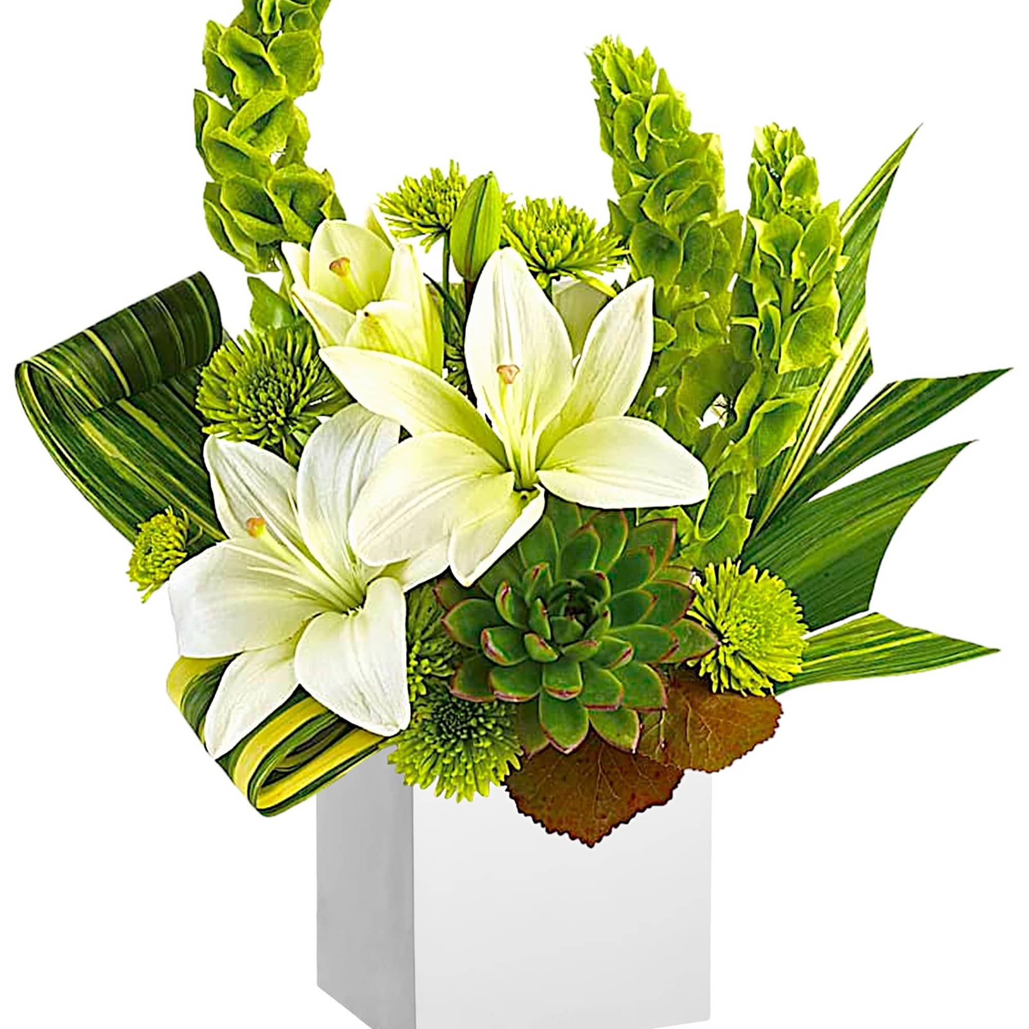 White lilies and green blooms in a white box vase
