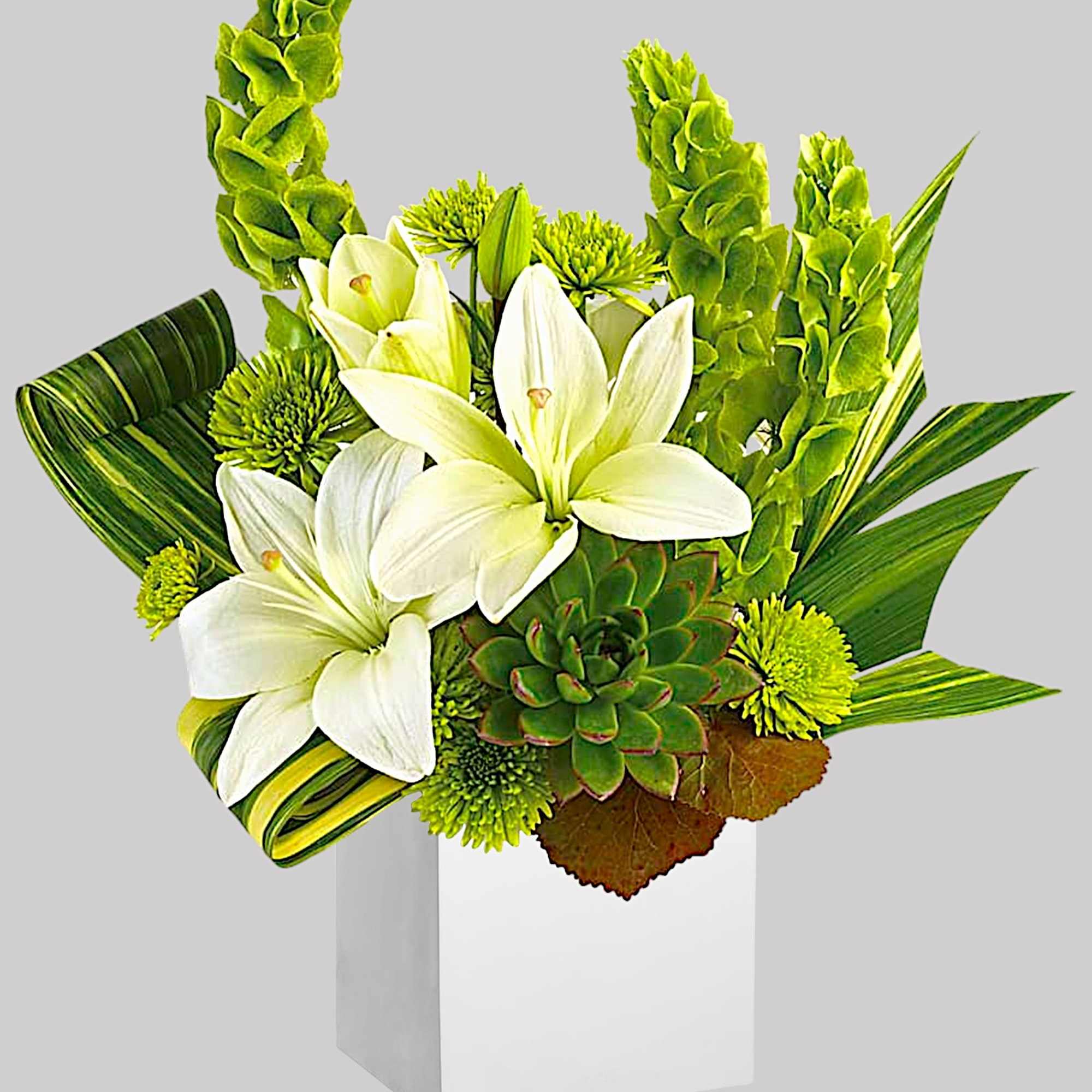 White lilies and green blooms arranged in a white box