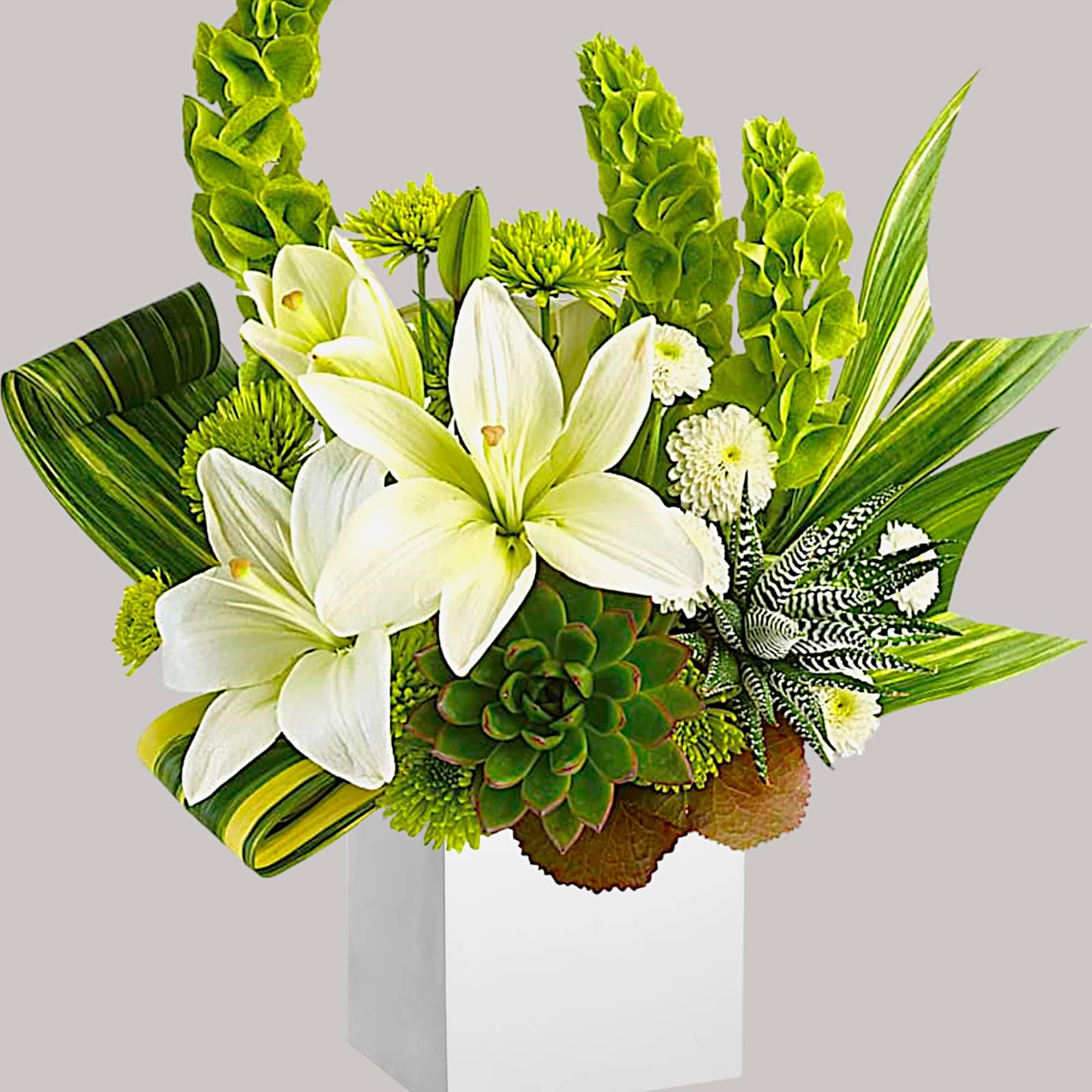 White lilies and green flowers in a white vase with striped foliage