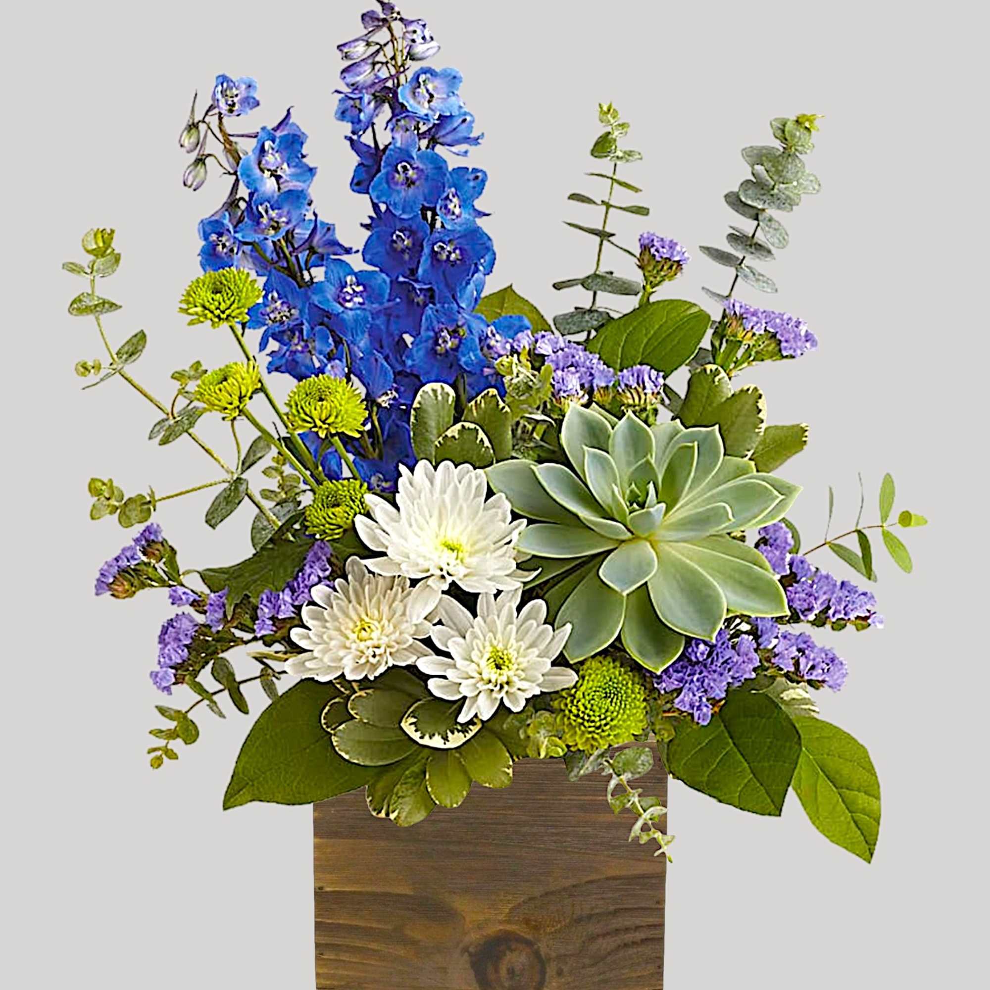 Blue delphiniums and white chrysanthemums in a wooden box with a succulent