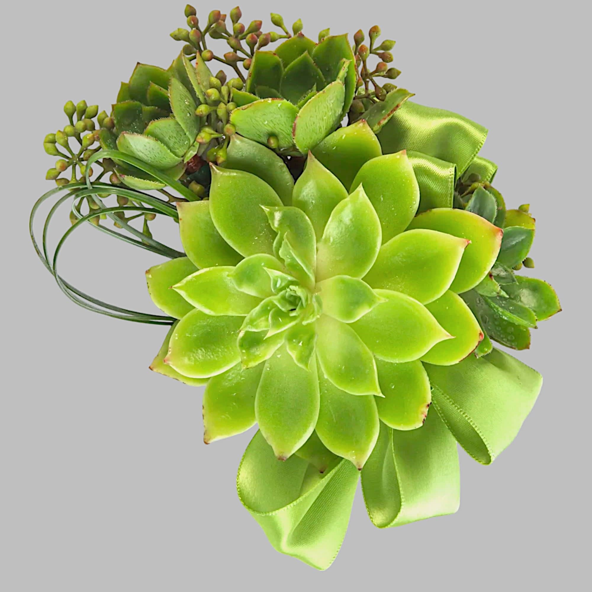 Order a Fresh Flower Corsage or Boutonniere for Your Prom Date, Anniversary, photo 4 of 6