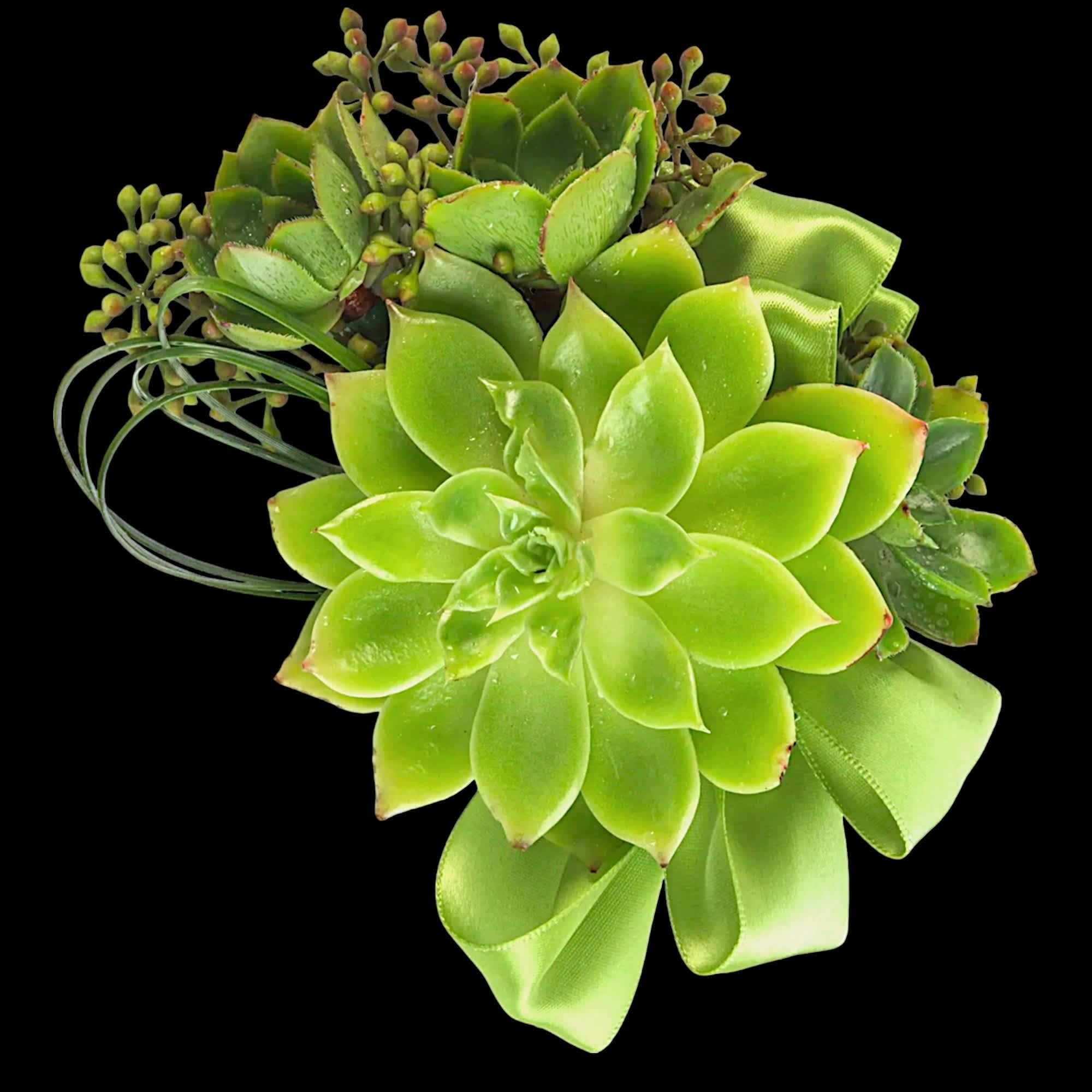 Order a Fresh Flower Corsage or Boutonniere for Your Prom Date, Anniversary, photo 5 of 6