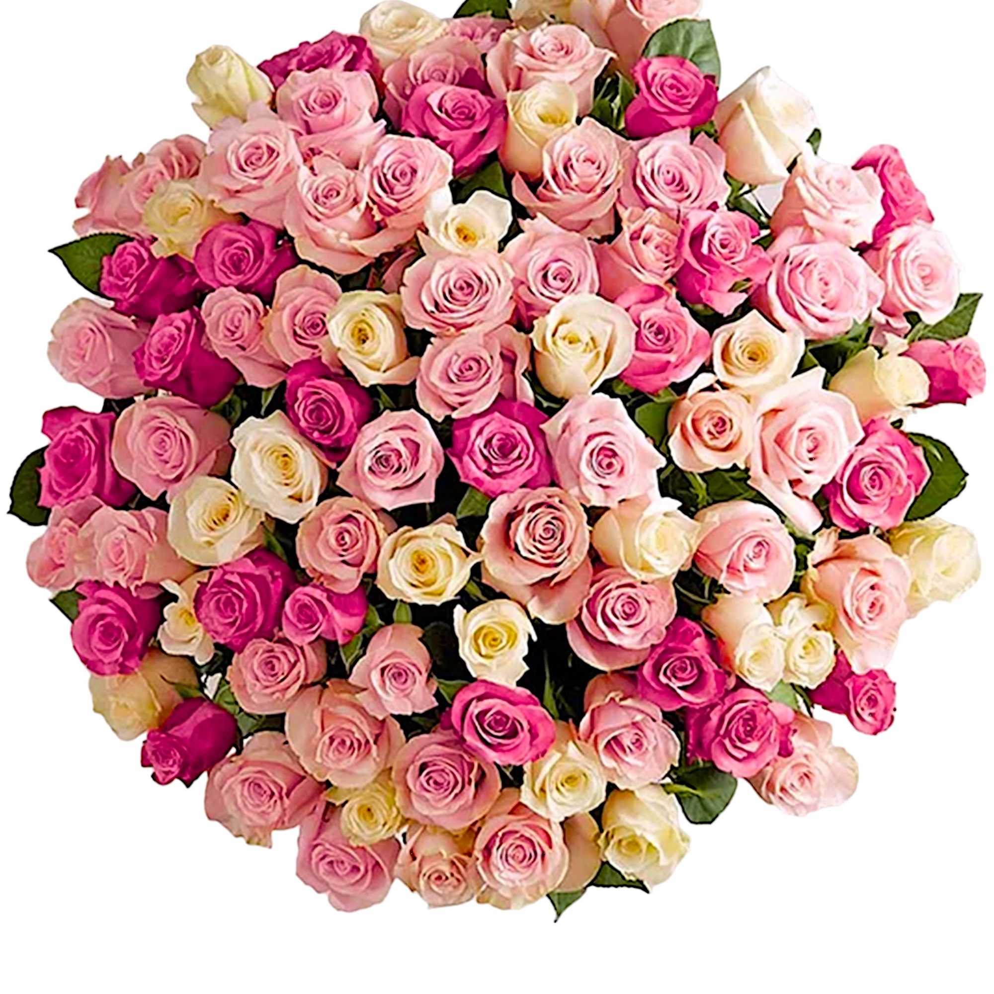 Large bouquet of pink and cream roses