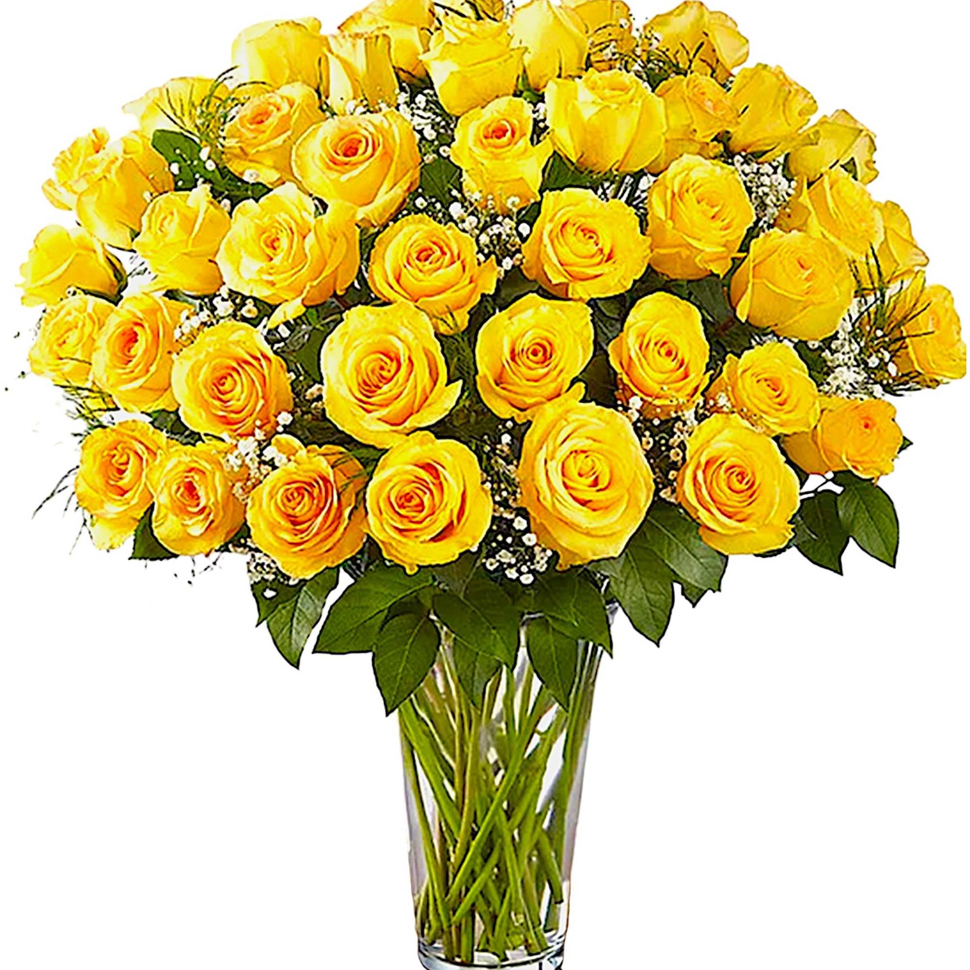 Yellow roses arranged in a clear glass vase