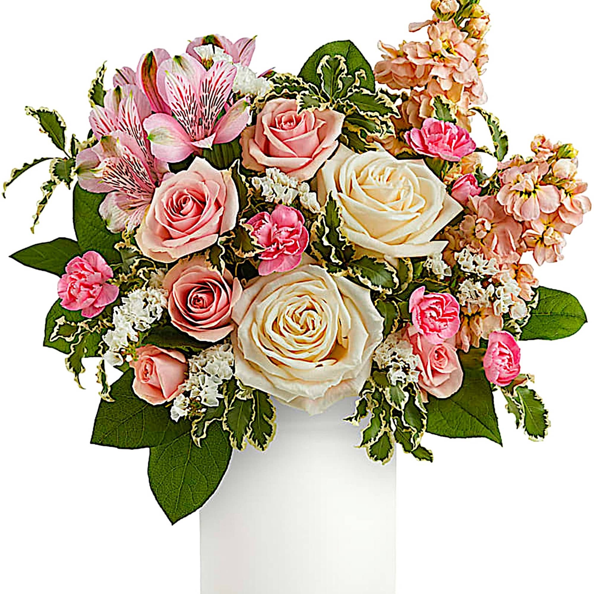 Pink and cream roses with alstroemeria in a white vase