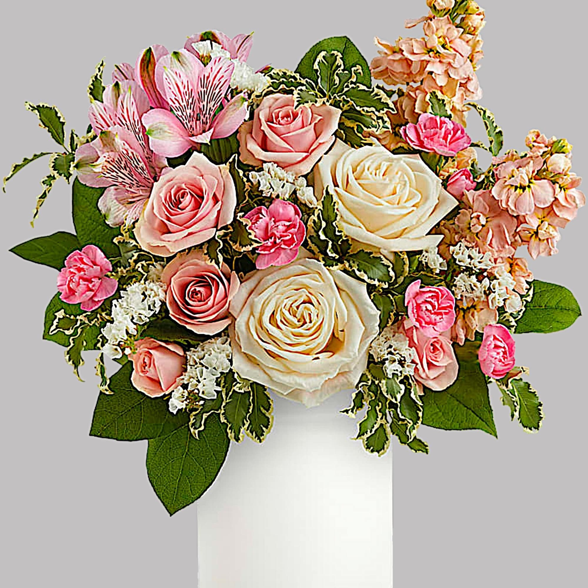 Pink and cream rose bouquet in a white vase