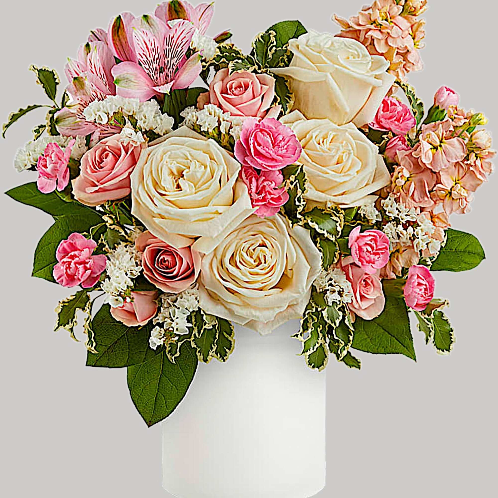 Pink and cream rose bouquet in a white vase