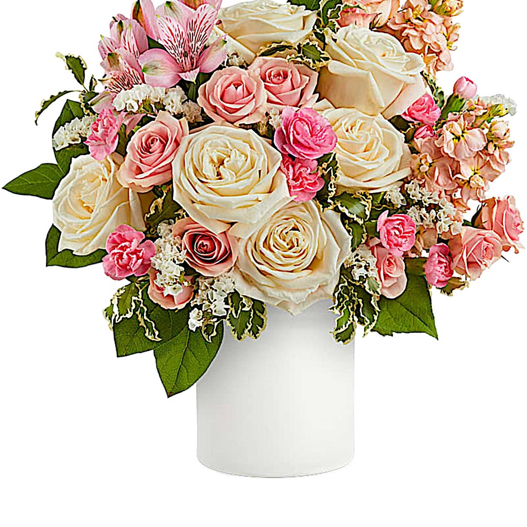 Pink and cream rose bouquet in a white vase