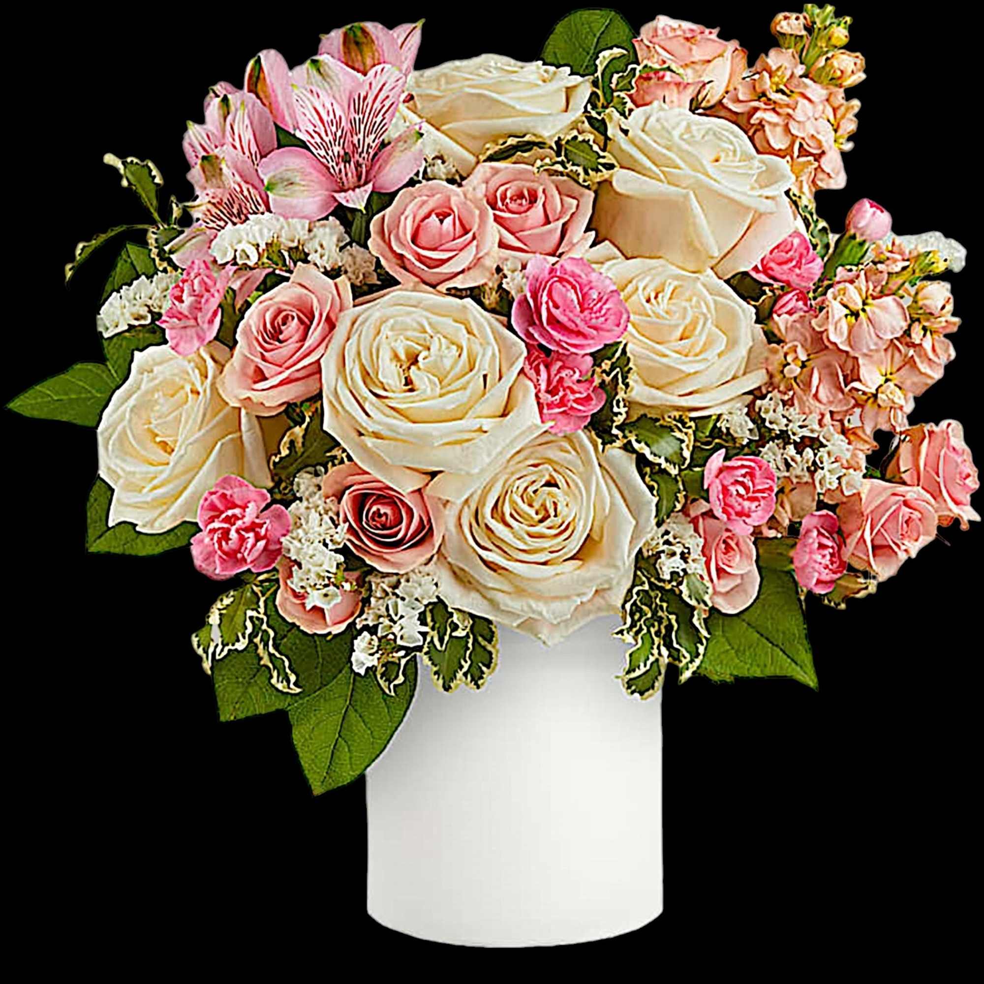 Pink and ivory roses in a white vase