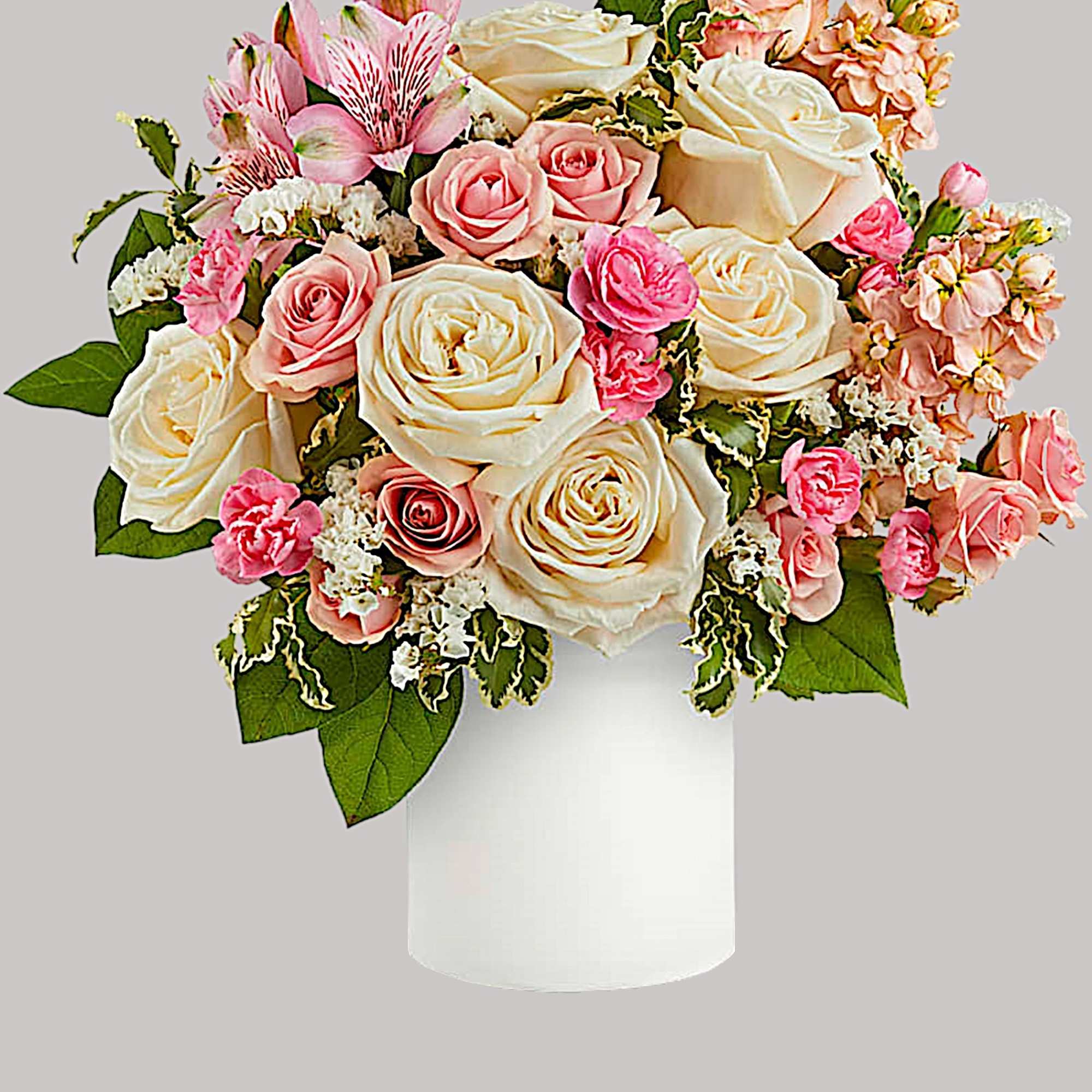 Pink and ivory rose bouquet in a white vase
