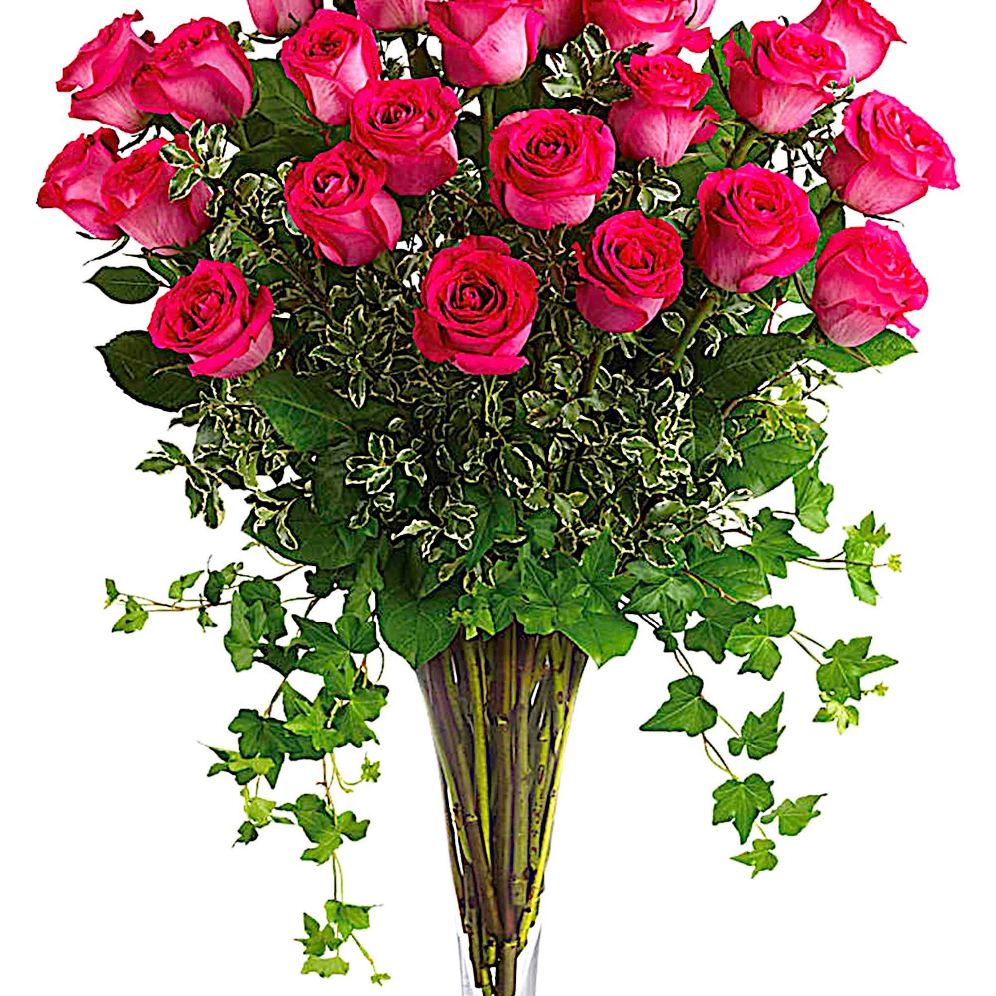 Pink roses arranged in a clear glass vase with trailing ivy