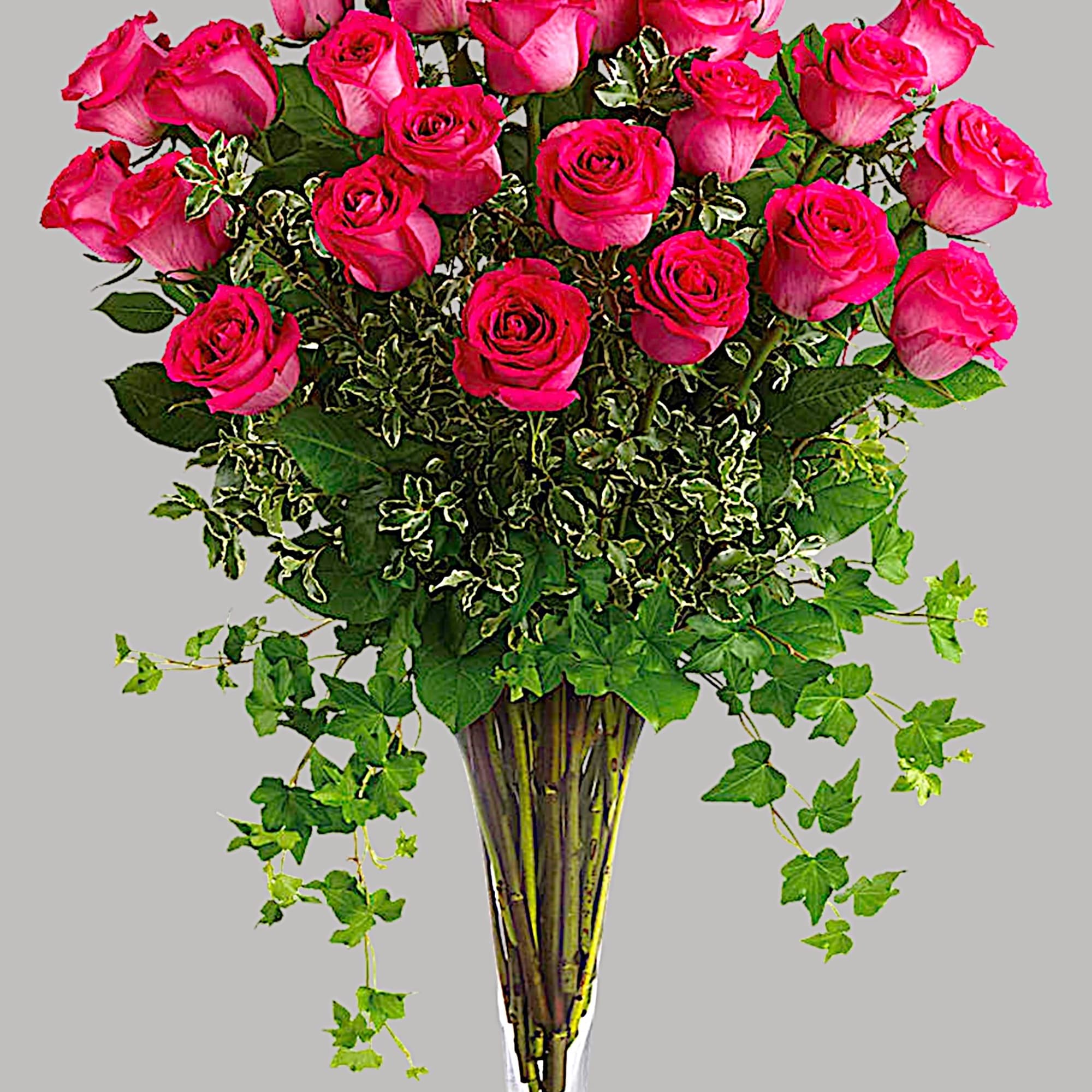 Pink roses arranged in a tall clear vase with trailing ivy