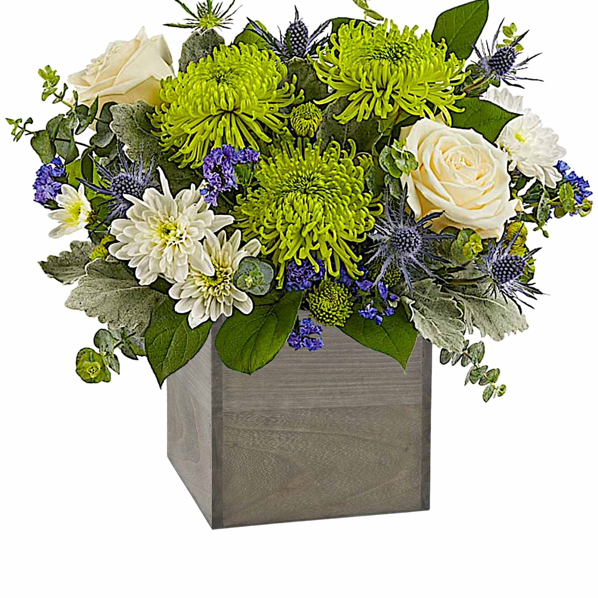Arrangement of white roses, green chrysanthemums, and blue thistles in a square vase