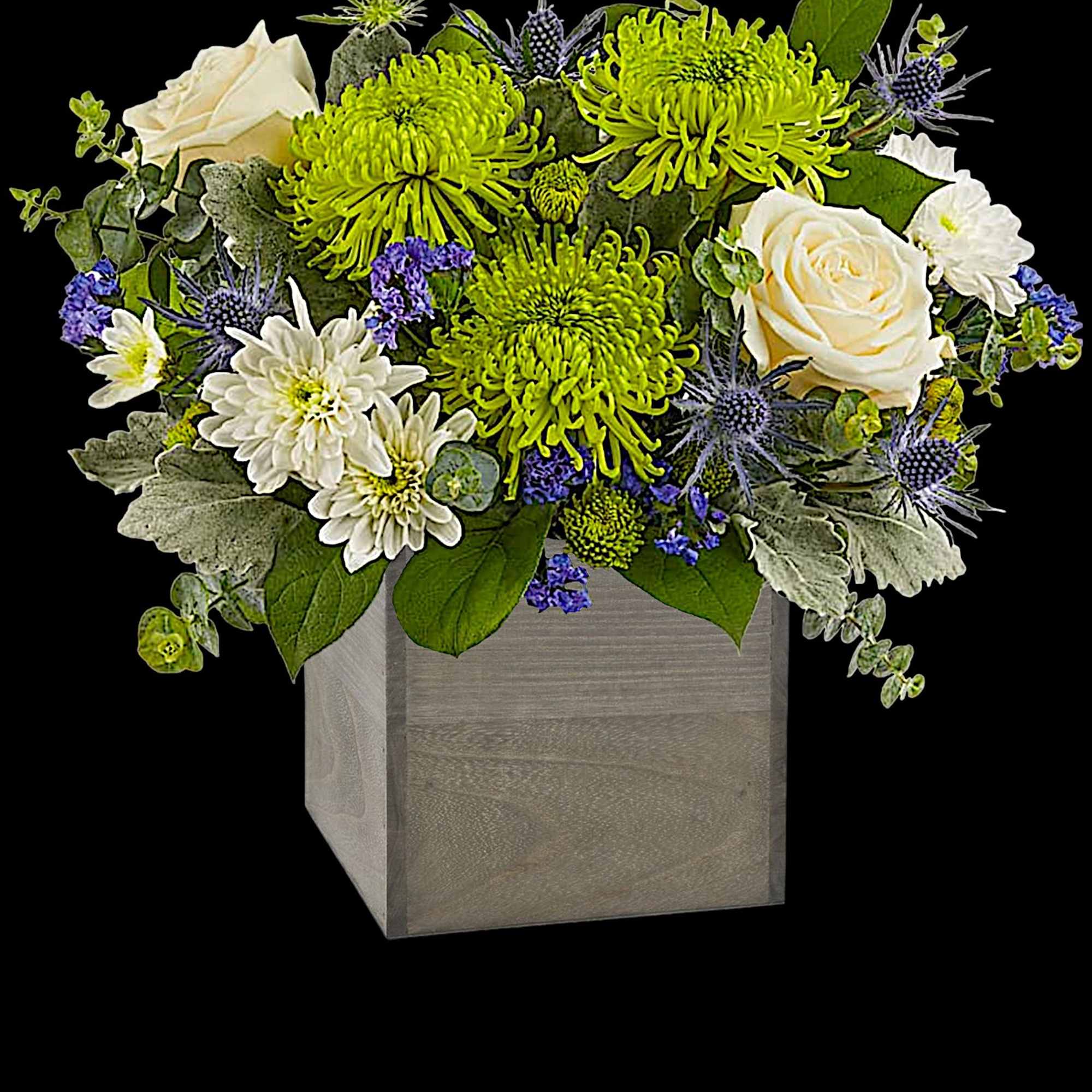 Arrangement of green chrysanthemums, white roses, and blue thistle in a square wooden vase