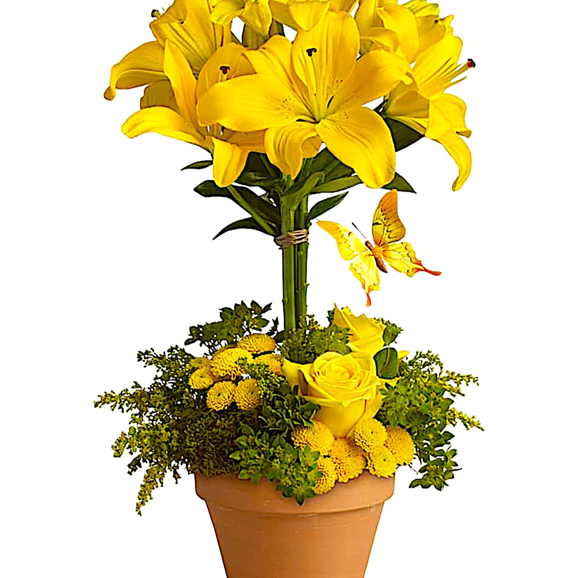 Yellow lilies and roses arranged in a terracotta pot with a butterfly accent.