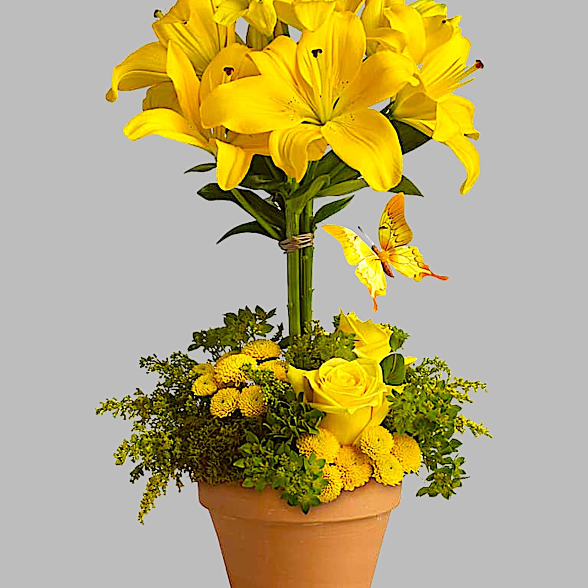 Yellow lilies and roses arranged in a terracotta pot