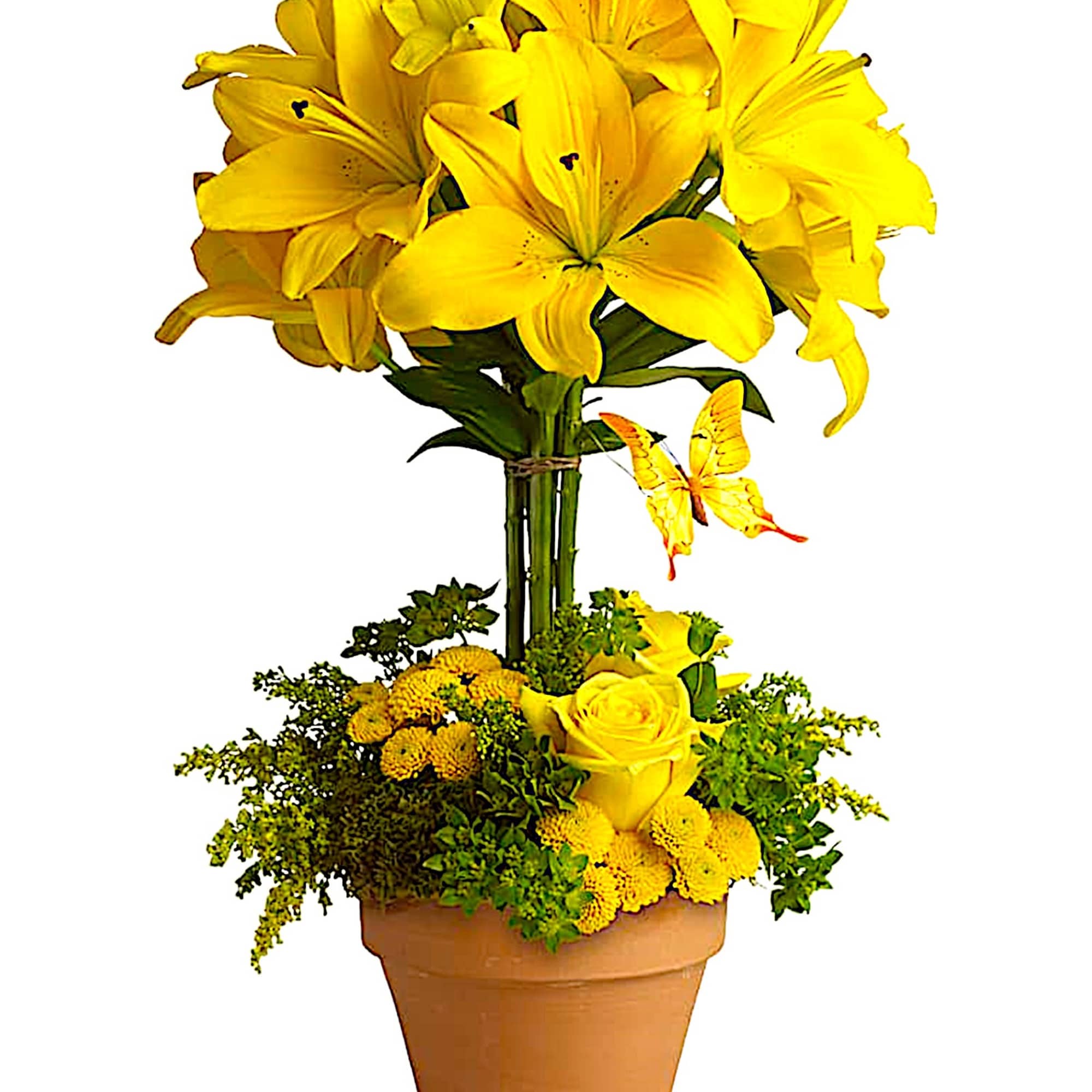 Yellow lily bouquet in a terracotta pot with a butterfly accent