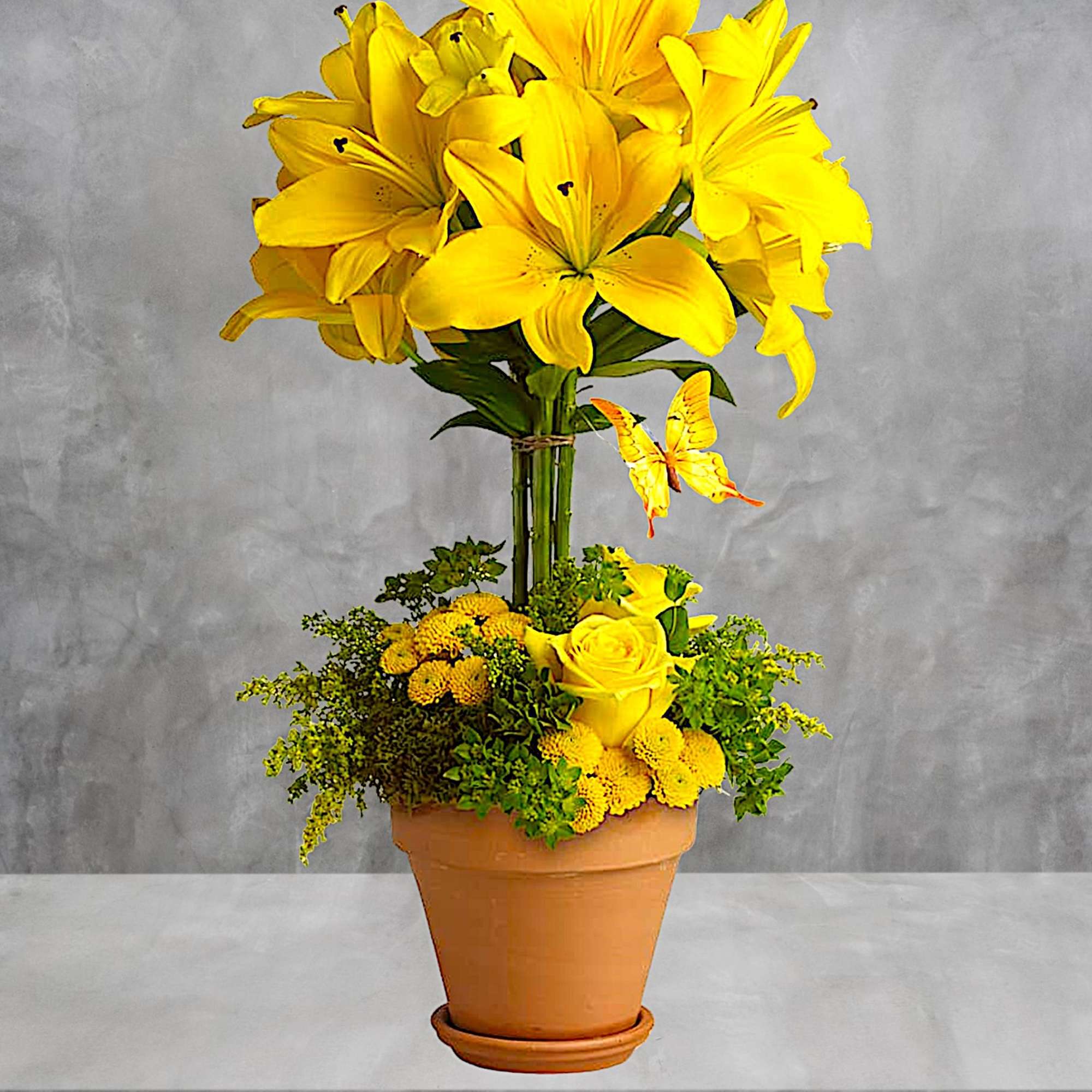 Yellow lily arrangement in a terracotta pot with a butterfly accent