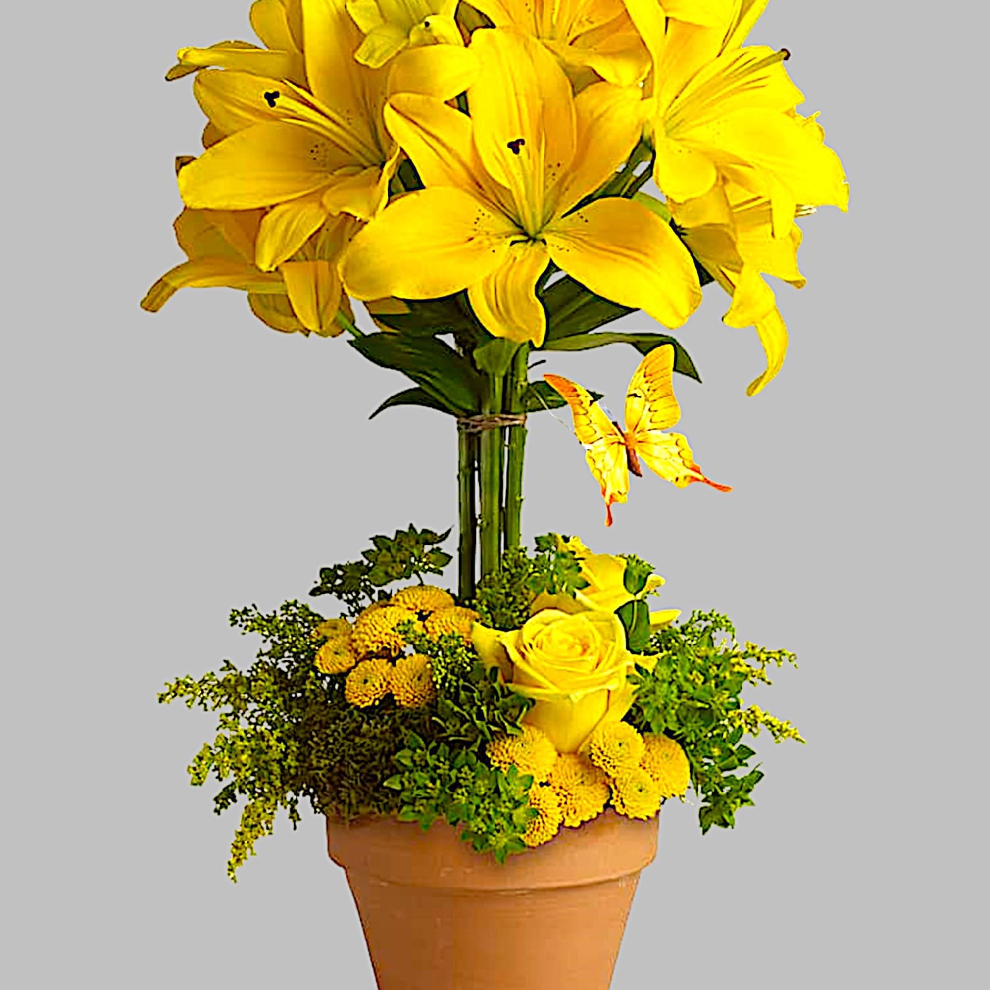 Yellow lilies arranged in a terracotta pot with a butterfly accent