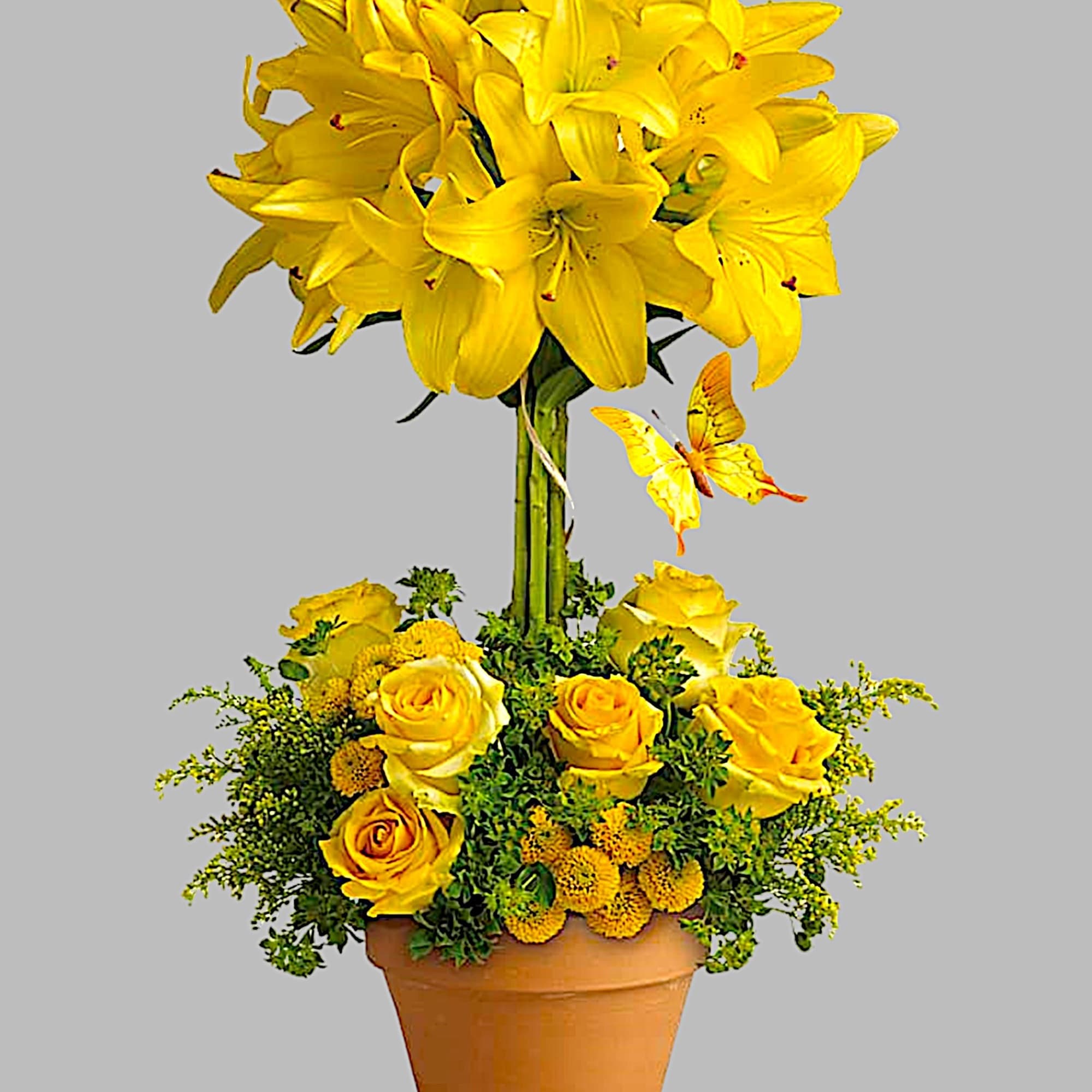 Yellow lilies and roses arranged in a terracotta pot with a butterfly accent, photo 5 of 5