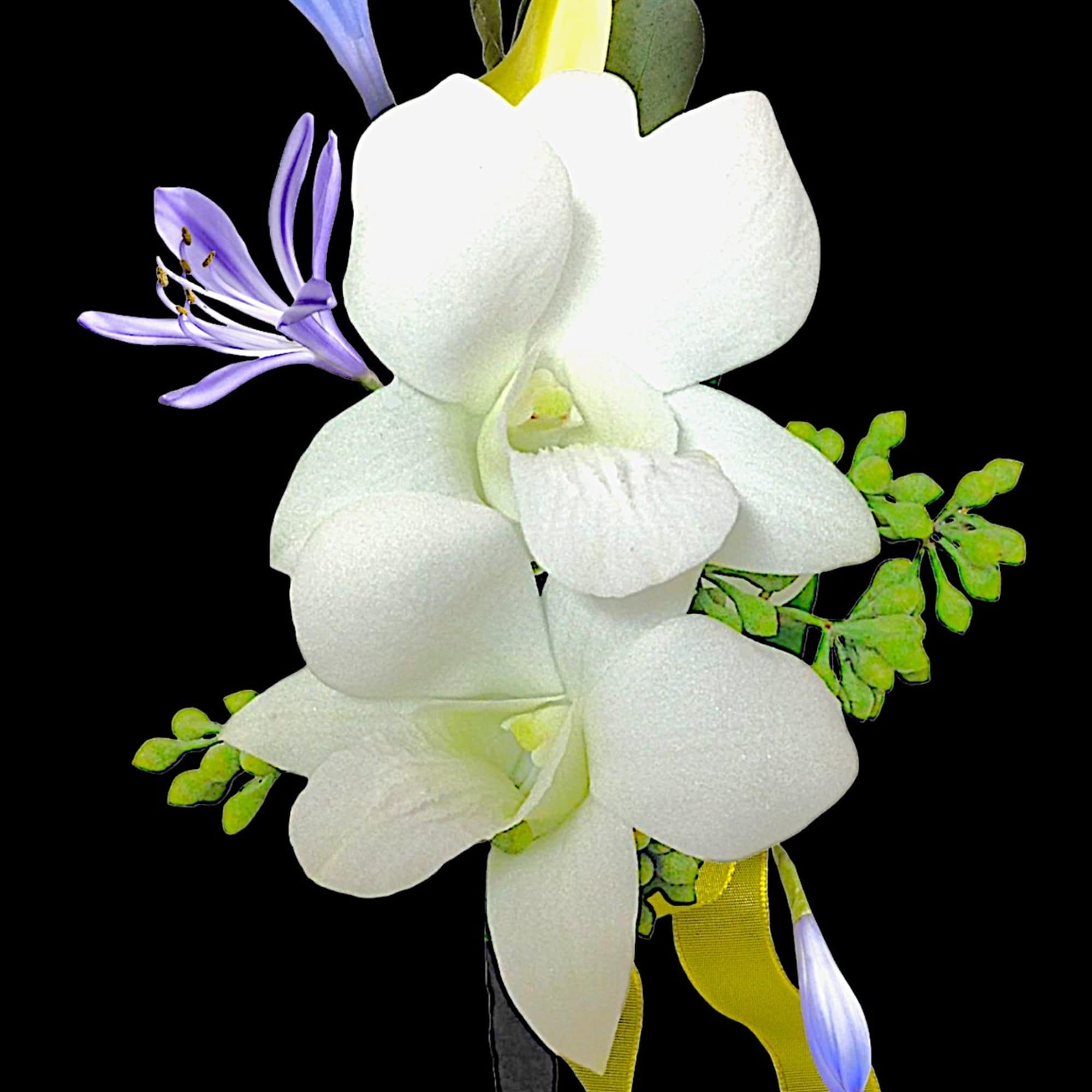 White orchid corsage with purple accents and yellow ribbon, photo 5 of 6