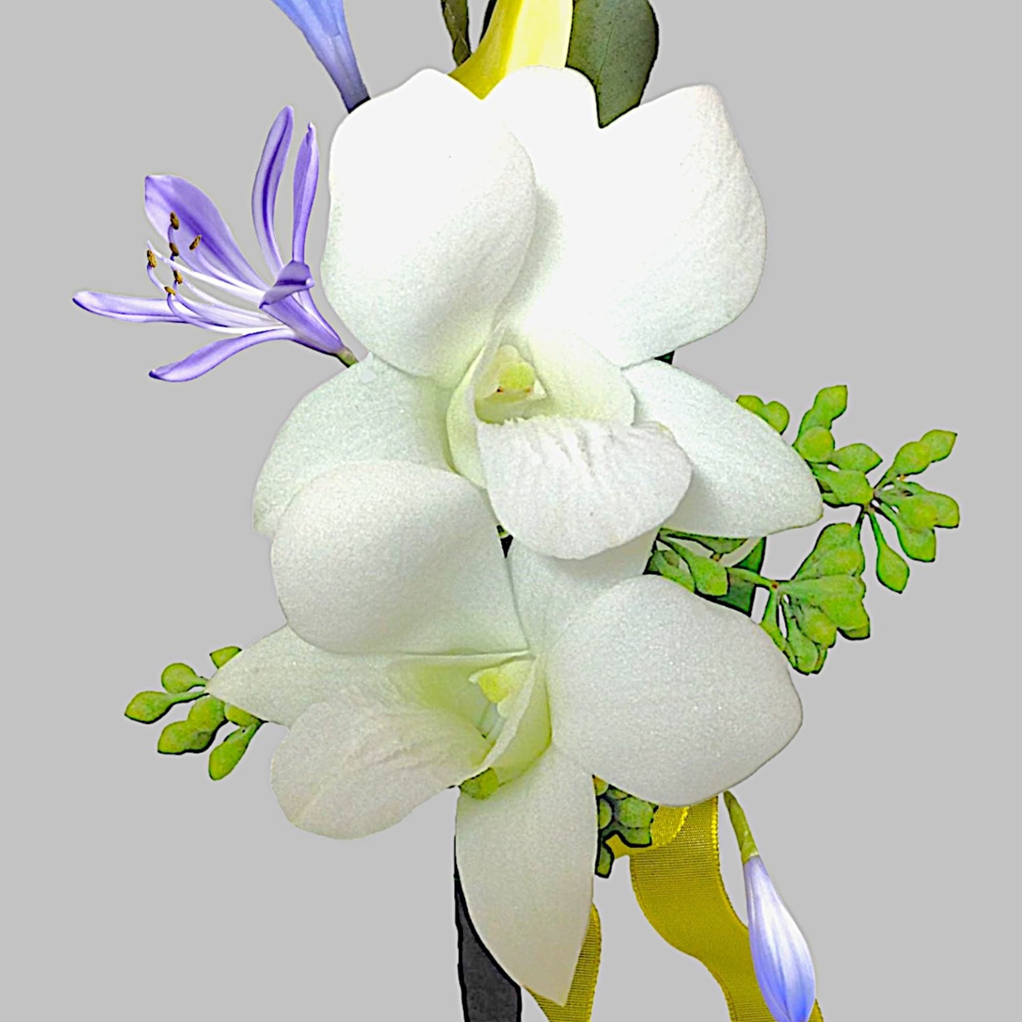 White orchid corsage with purple accents and yellow ribbon, photo 6 of 6