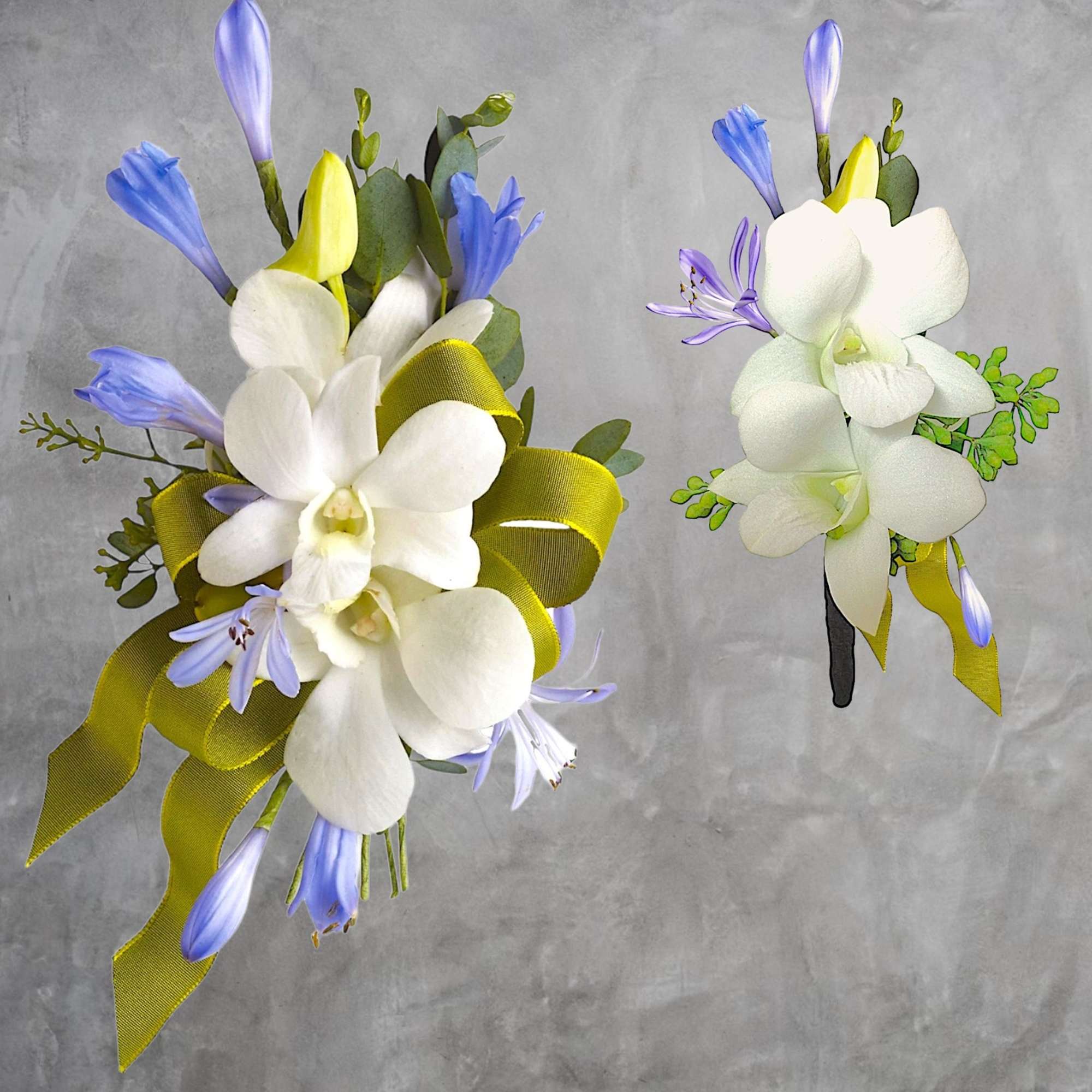 Two orchid boutonnieres with white and blue flowers and yellow ribbon