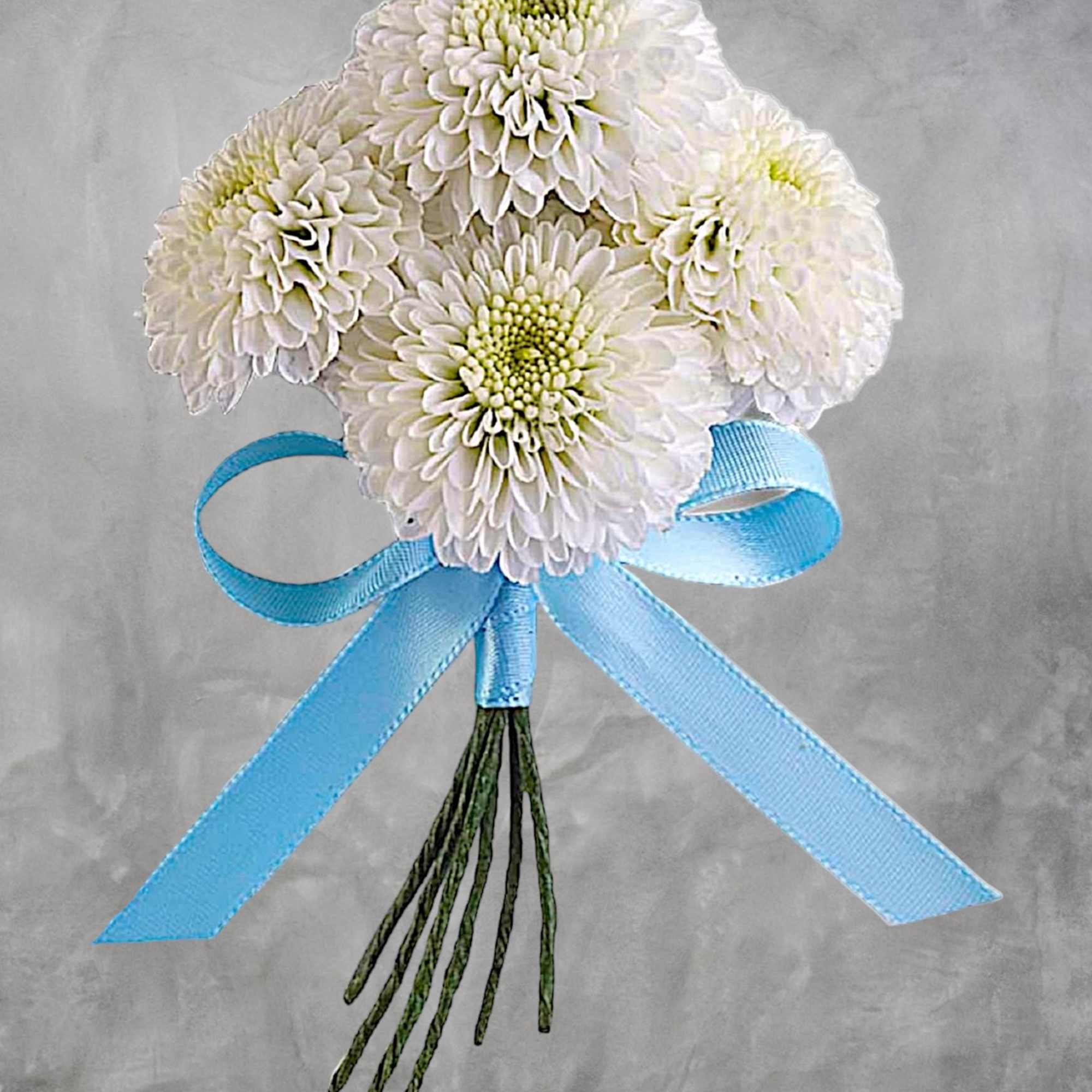 White chrysanthemum bouquet tied with a blue ribbon, photo 3 of 5