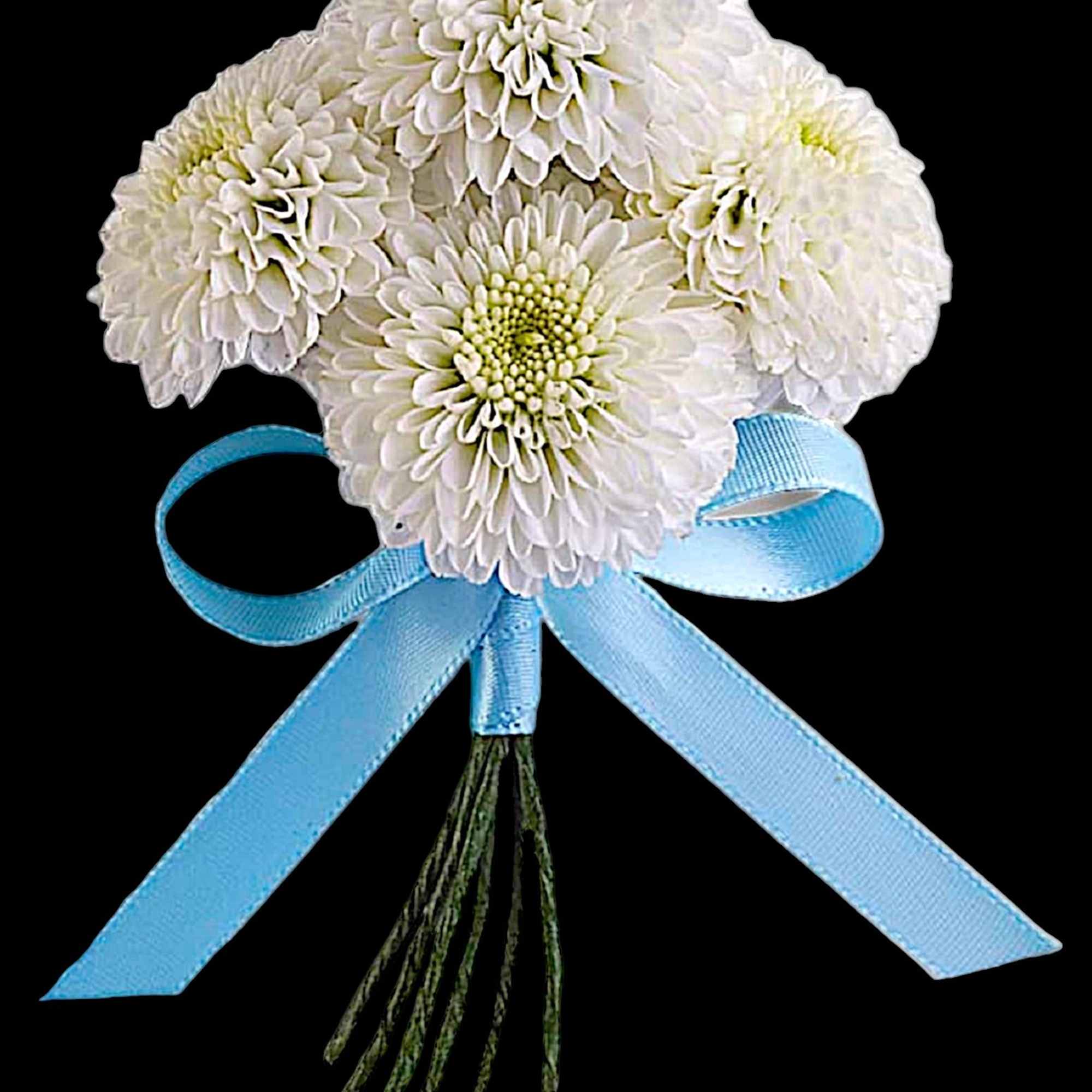 White chrysanthemum boutonniere with a blue ribbon bow