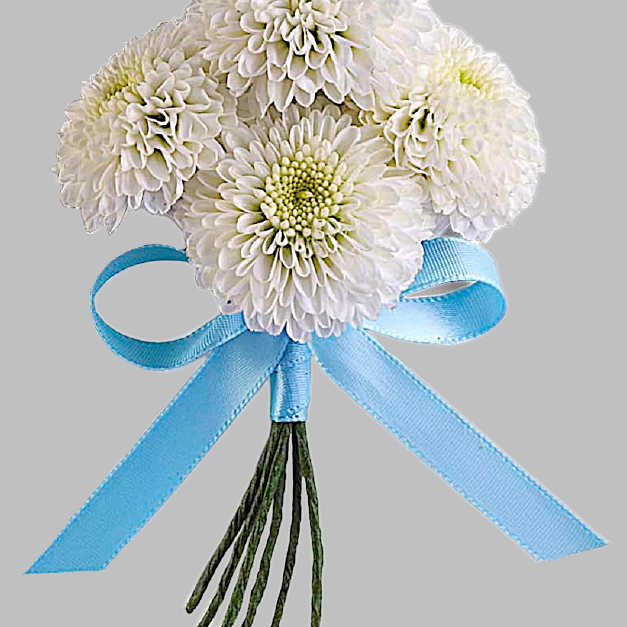 White chrysanthemum bouquet tied with a blue ribbon, photo 5 of 5