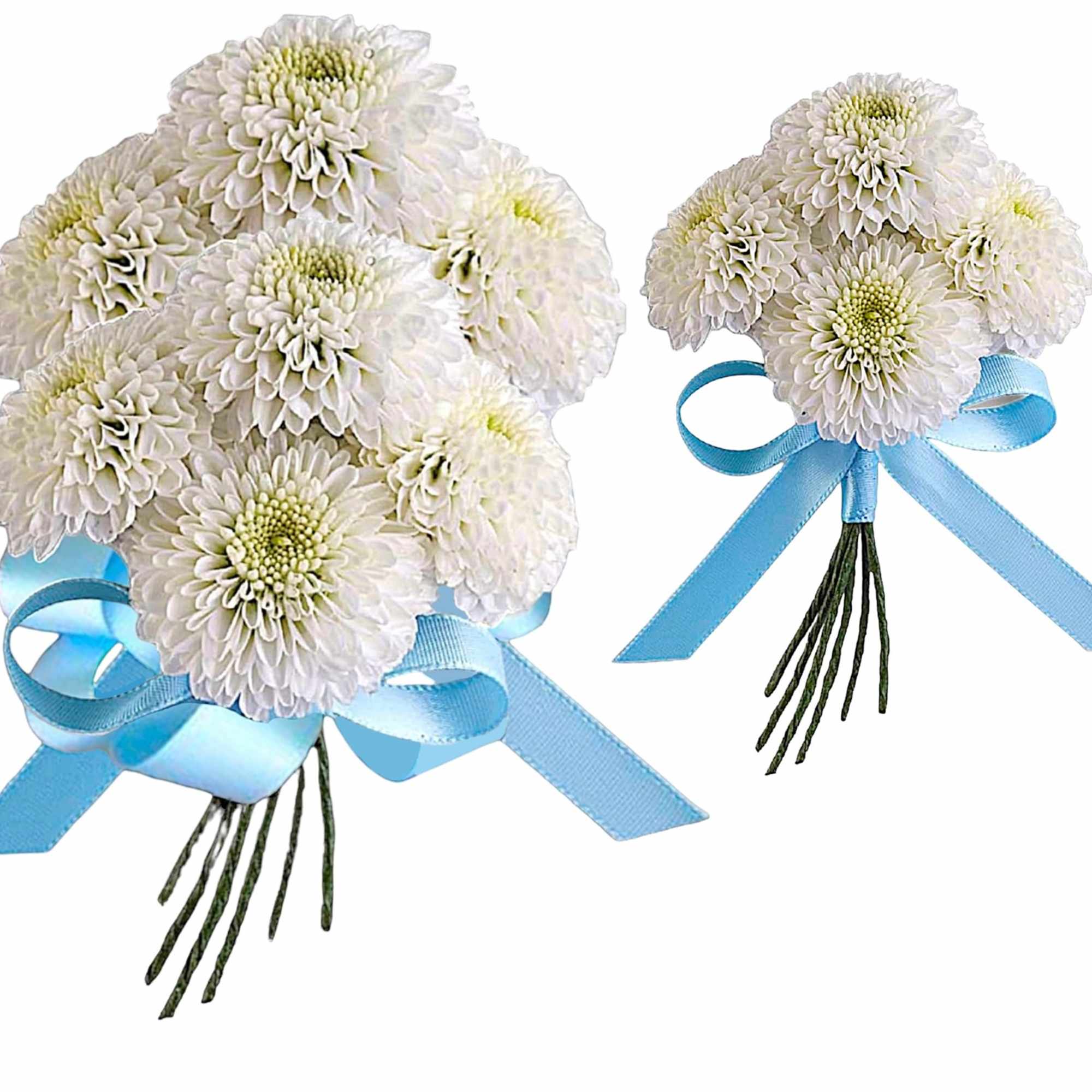 White chrysanthemum bouquets tied with blue ribbons