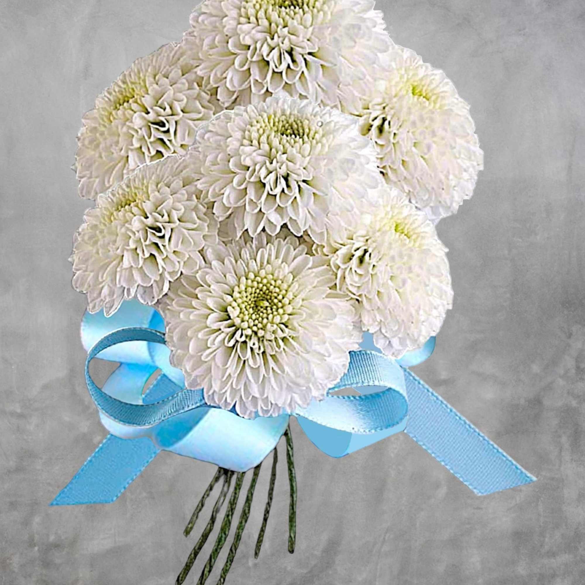 White chrysanthemum bouquet tied with a blue ribbon, photo 3 of 5