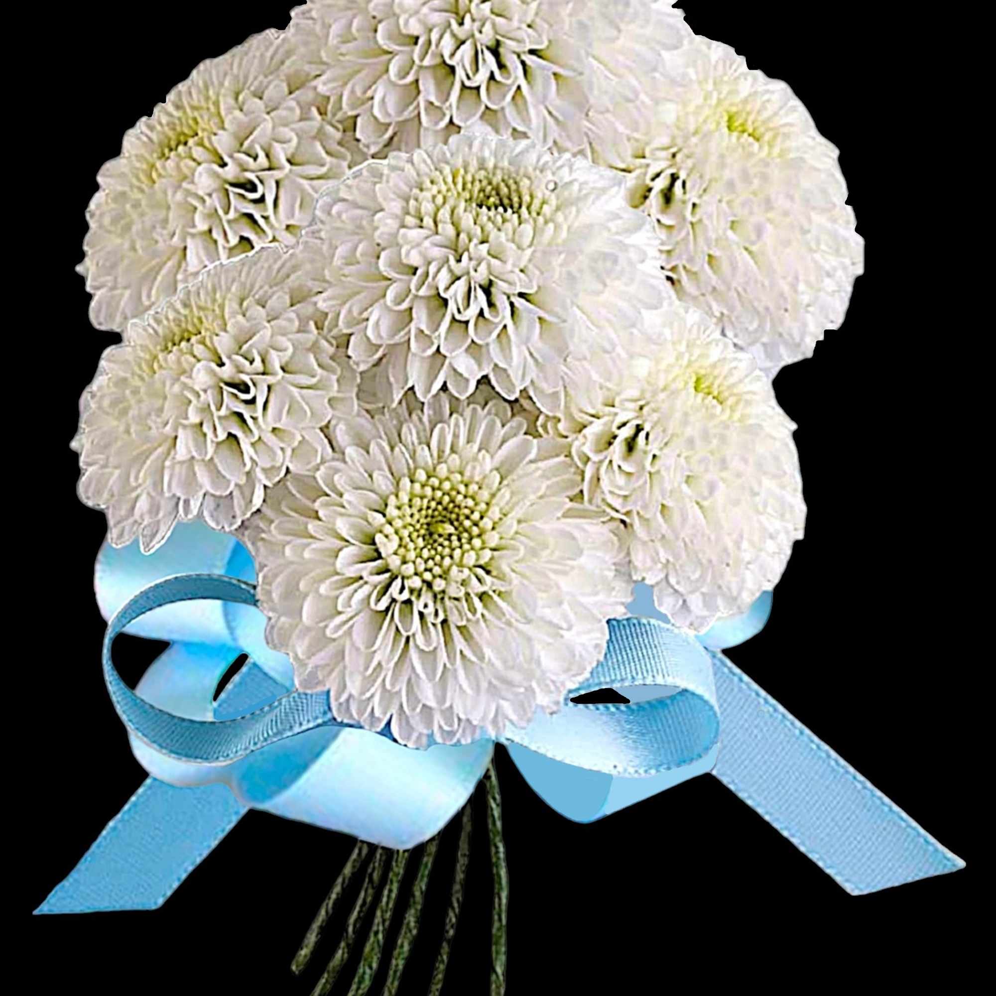 White chrysanthemum bouquet with a blue ribbon bow