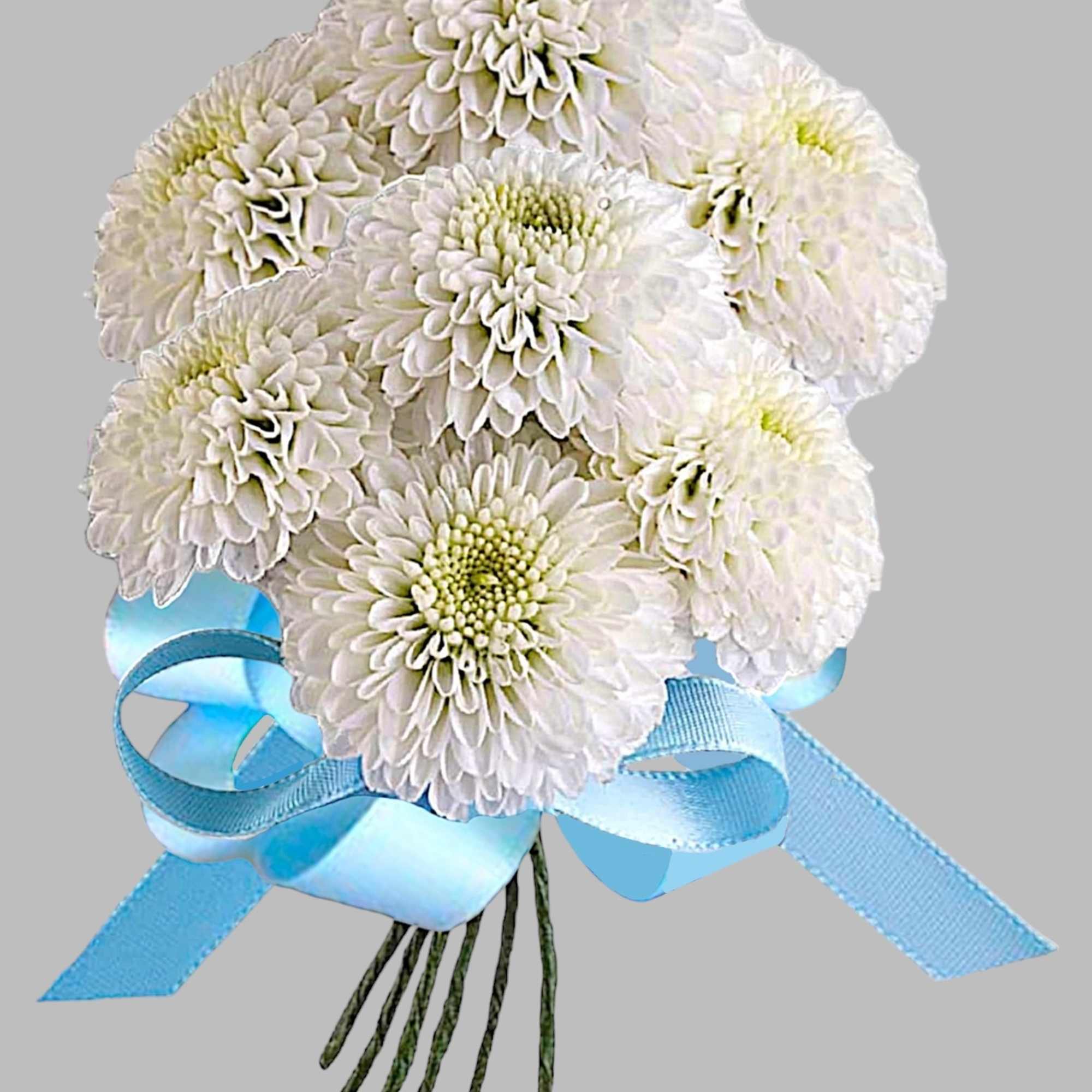 White chrysanthemum bouquet tied with a blue ribbon, photo 5 of 5